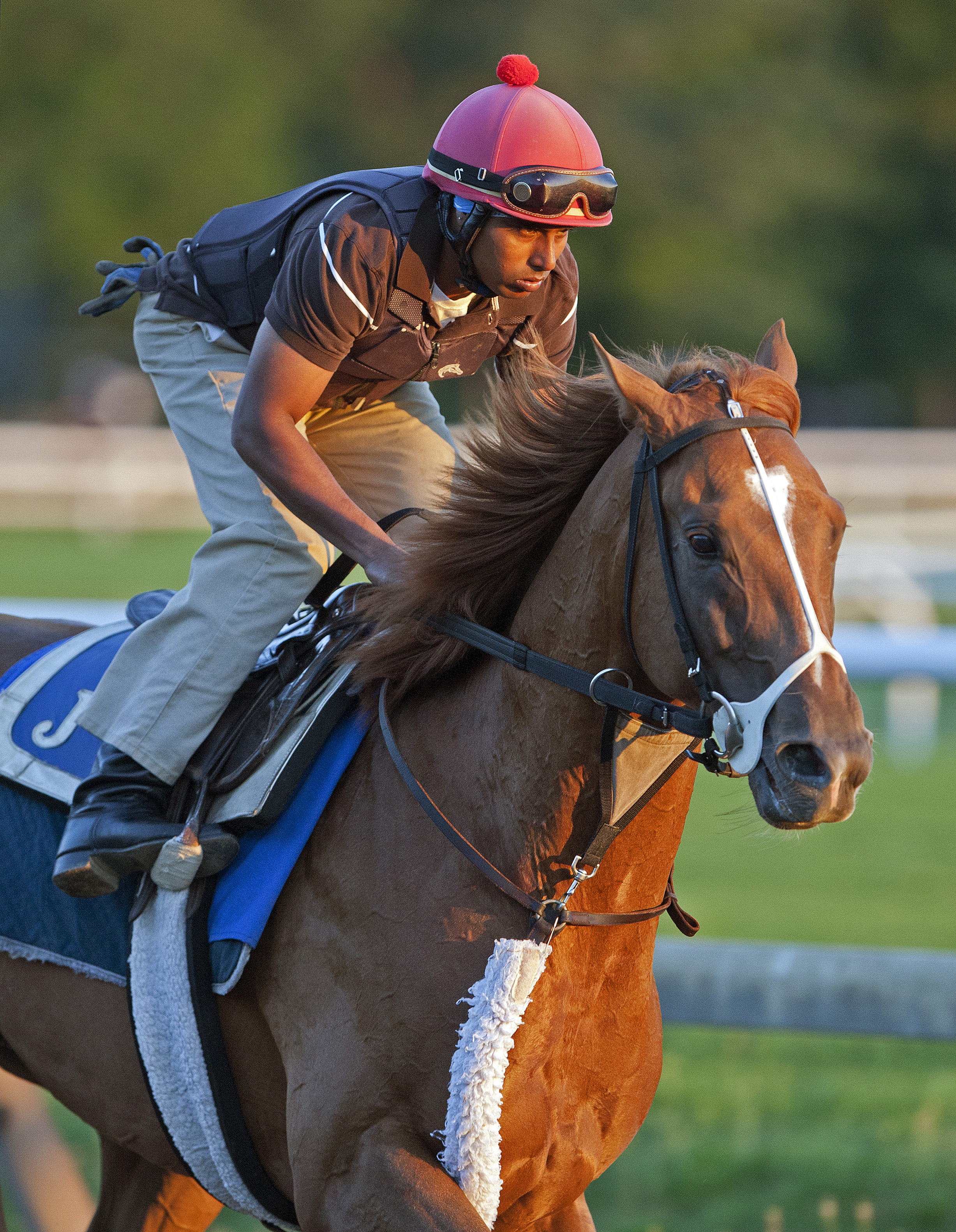 V. E. Day in August 2015