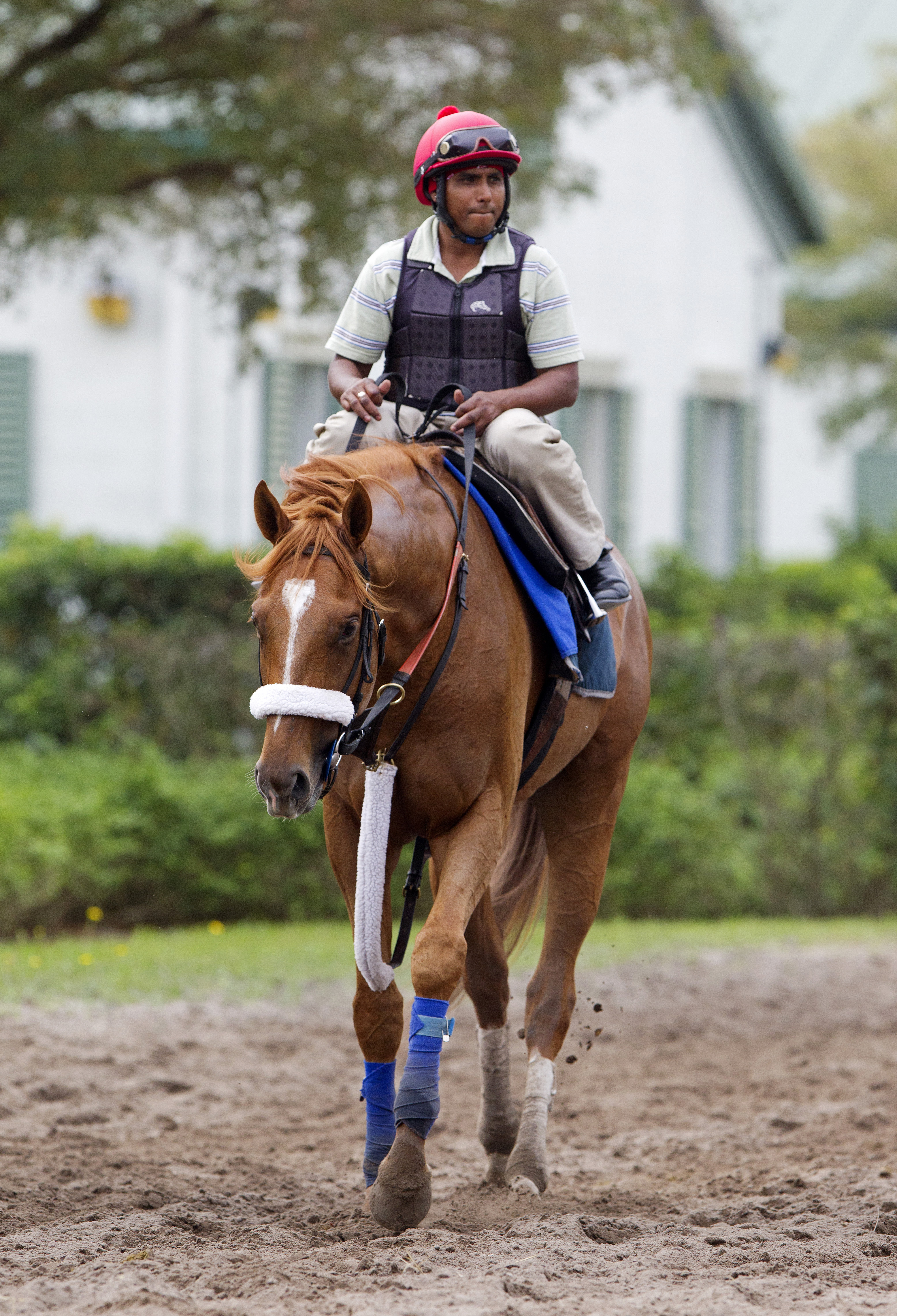 V. E. Day at Palm Meadows on March 26