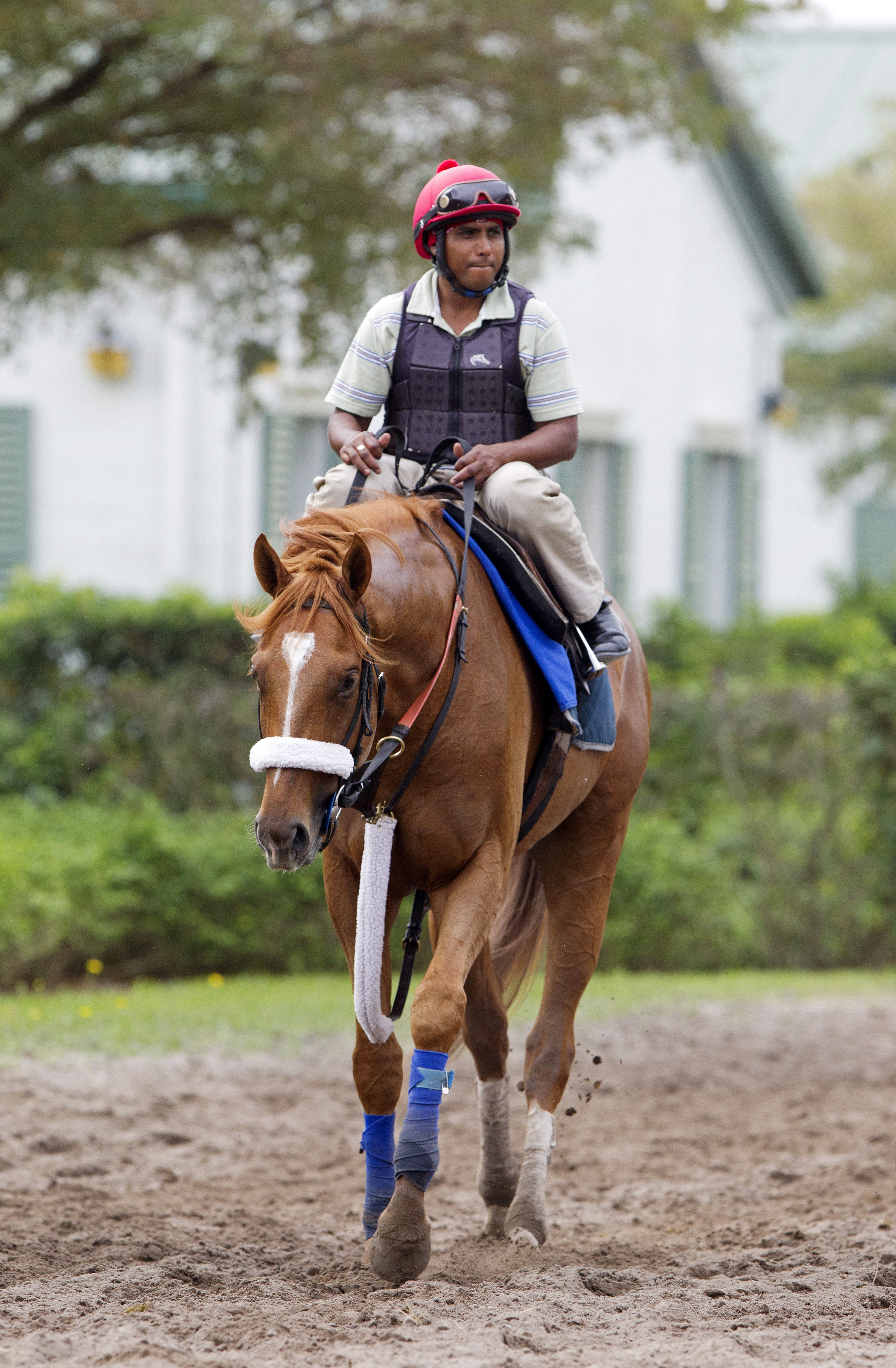 V. E. Day at Palm Meadows on March 26