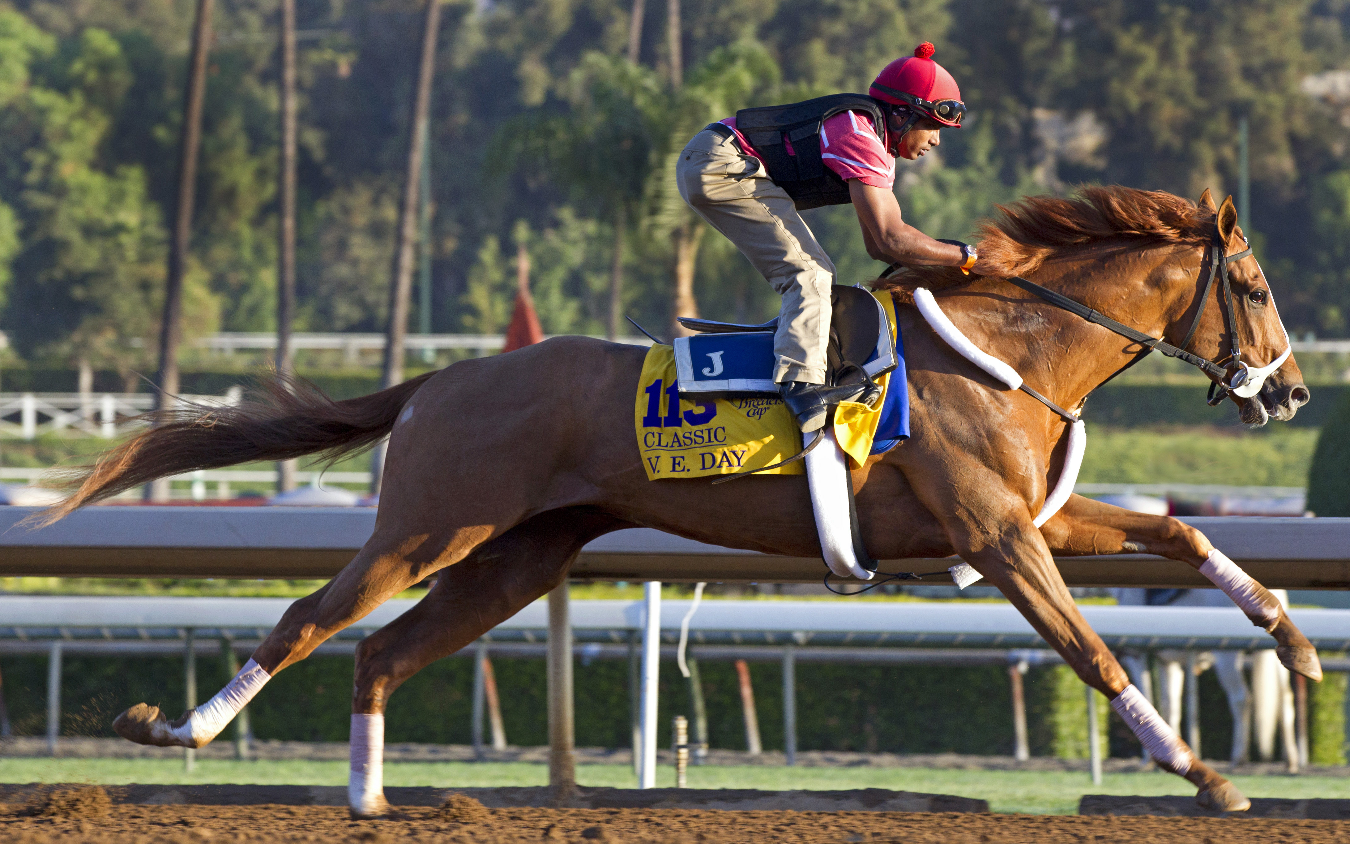 V. E. Day breezes on Oct. 28