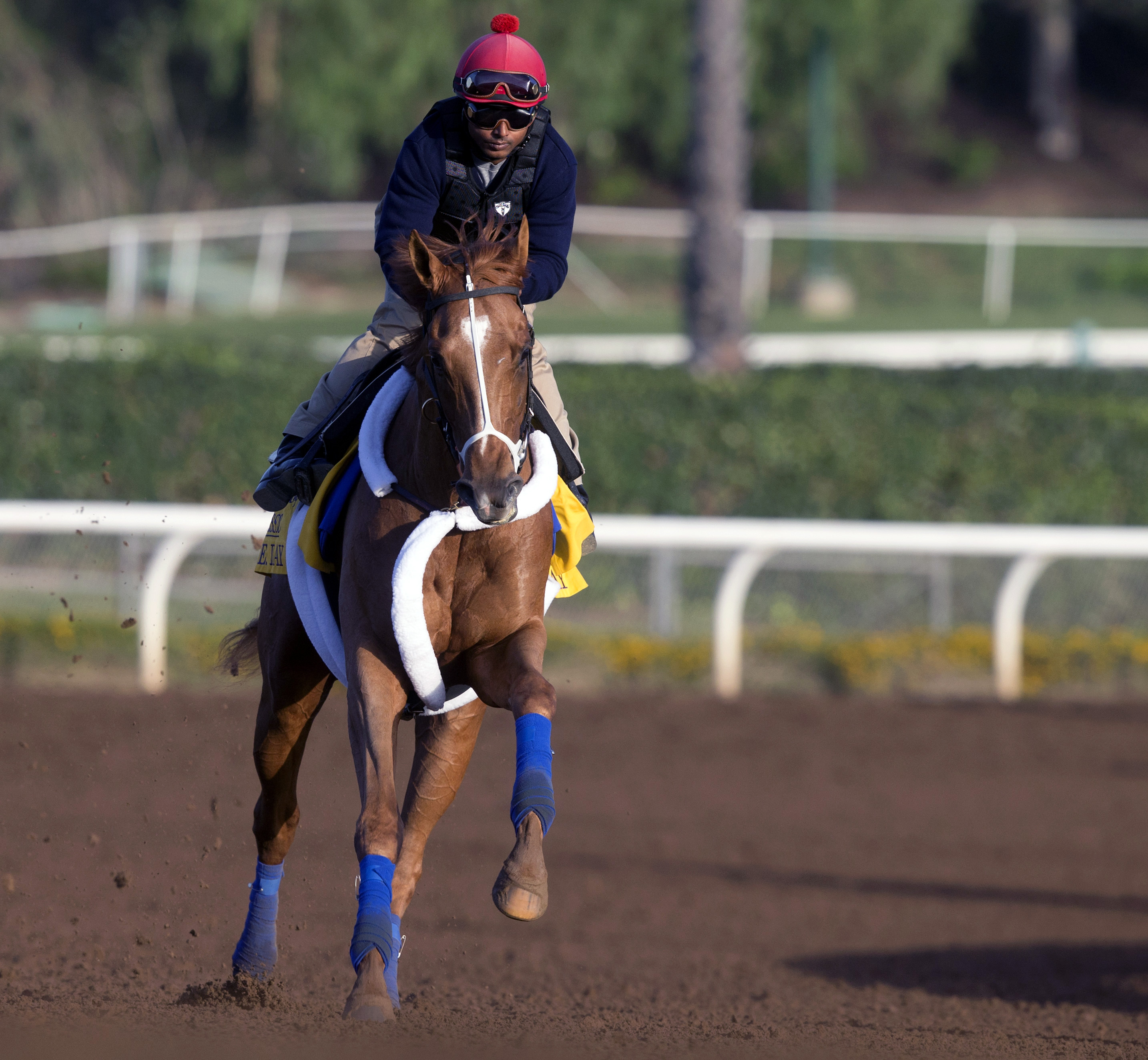 V. E. Day training at Santa Anita before Breeders' Cup