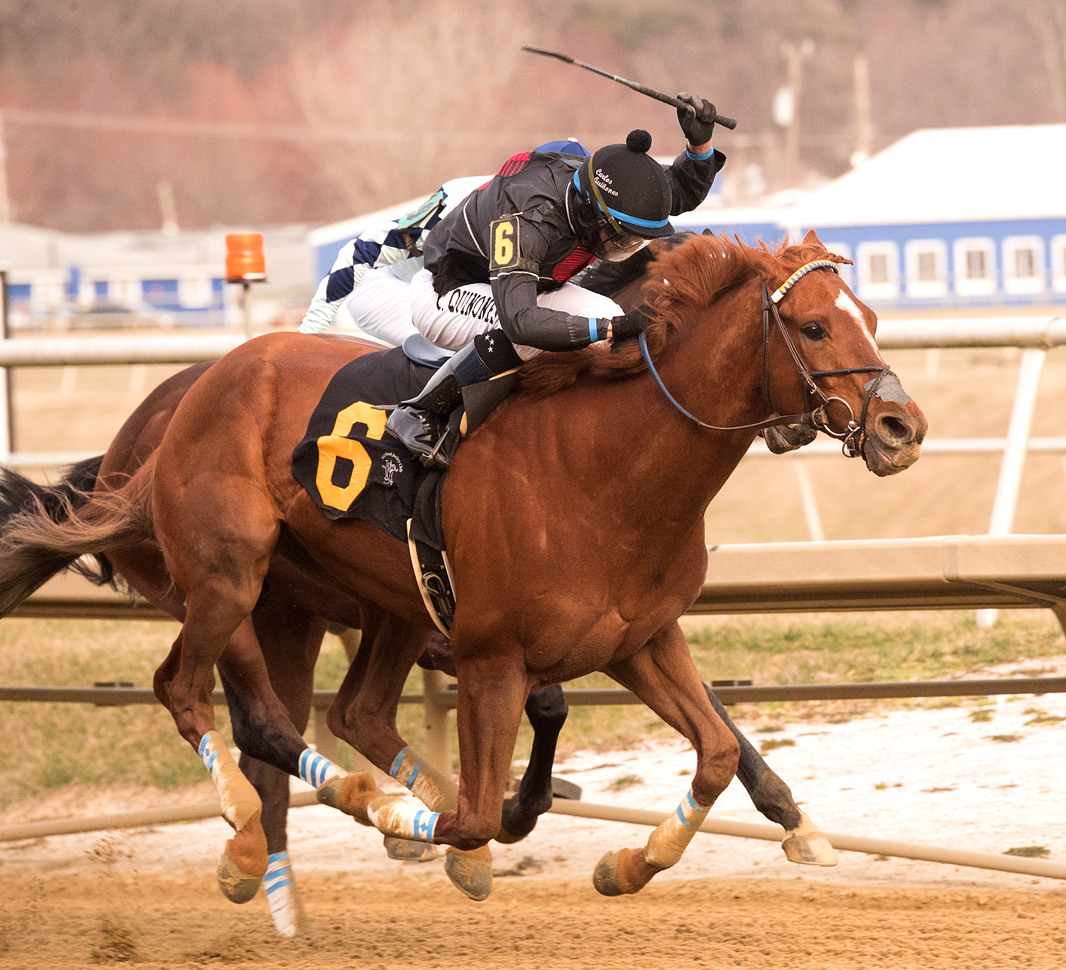 V.I.P. Code wins 2018 Private Terms