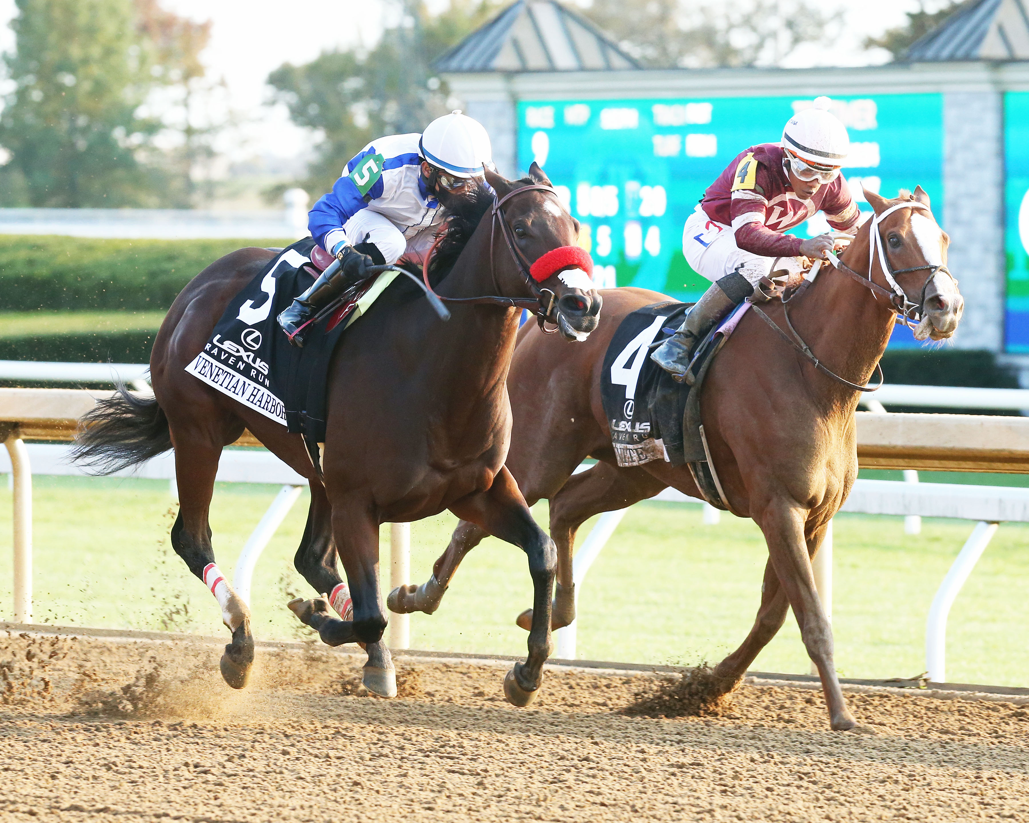Venetian Harbor wins Raven Run 10-17-2020