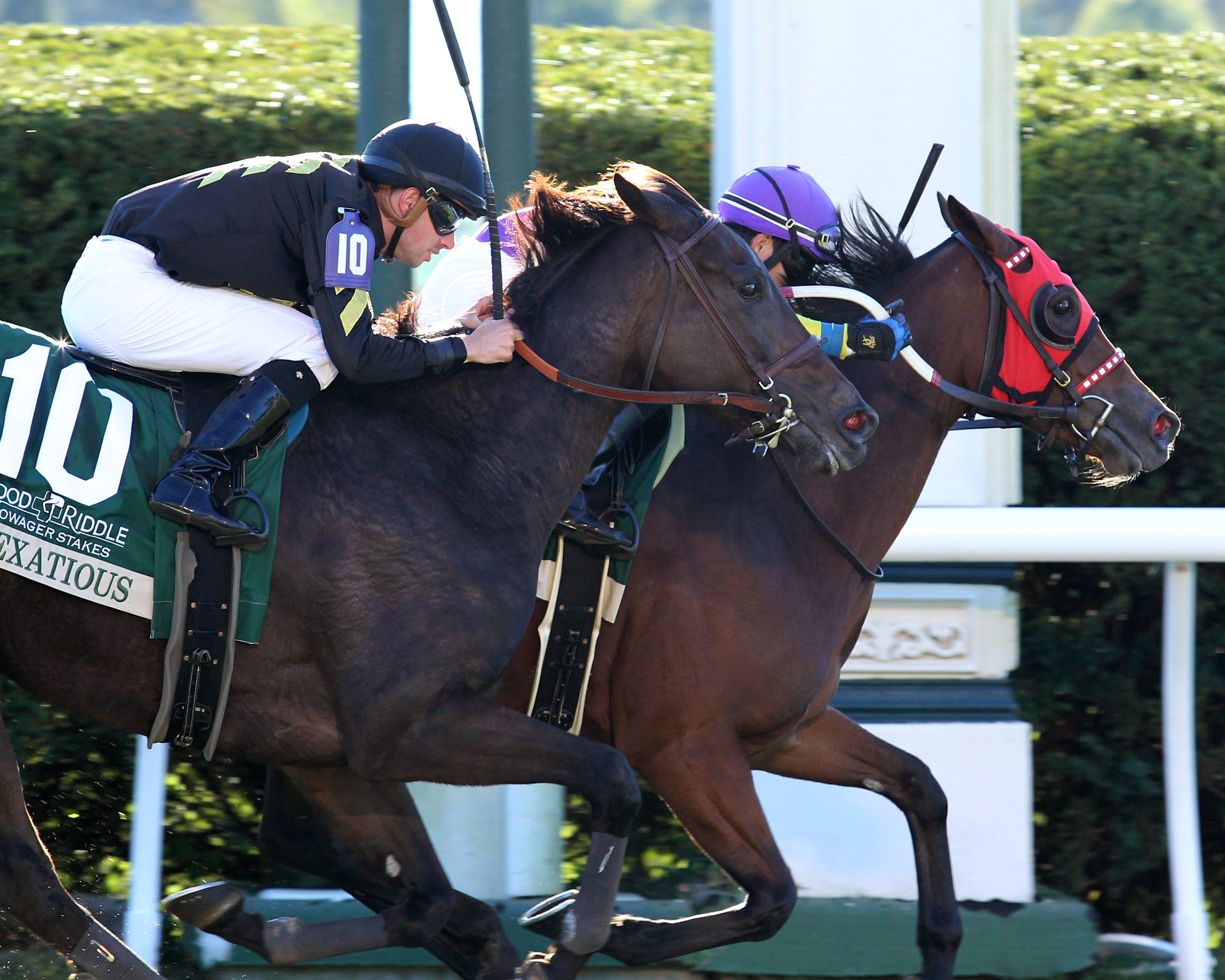 Vexatious wins 2018 Dowager