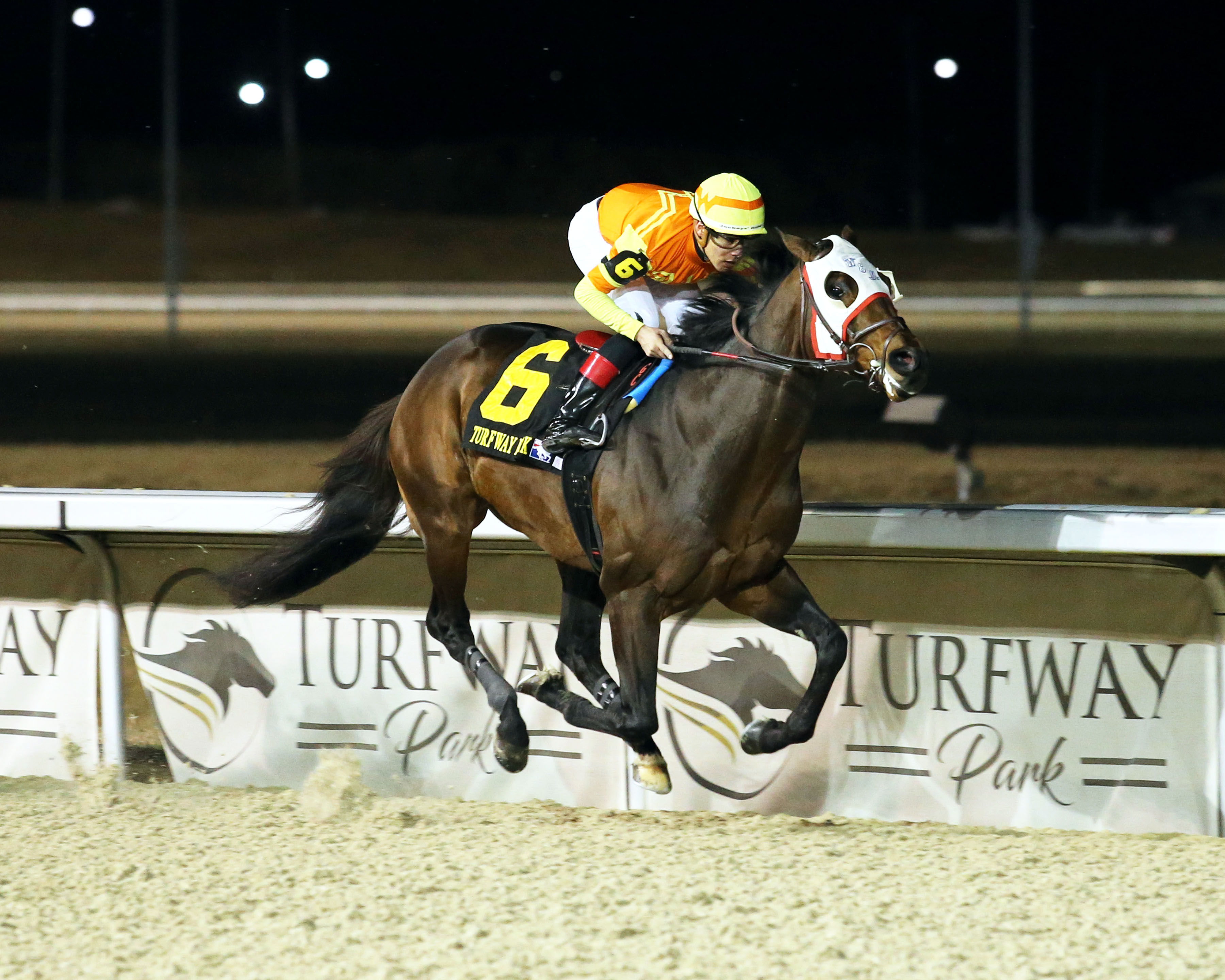 Visitant wins Forego 2-12-2022