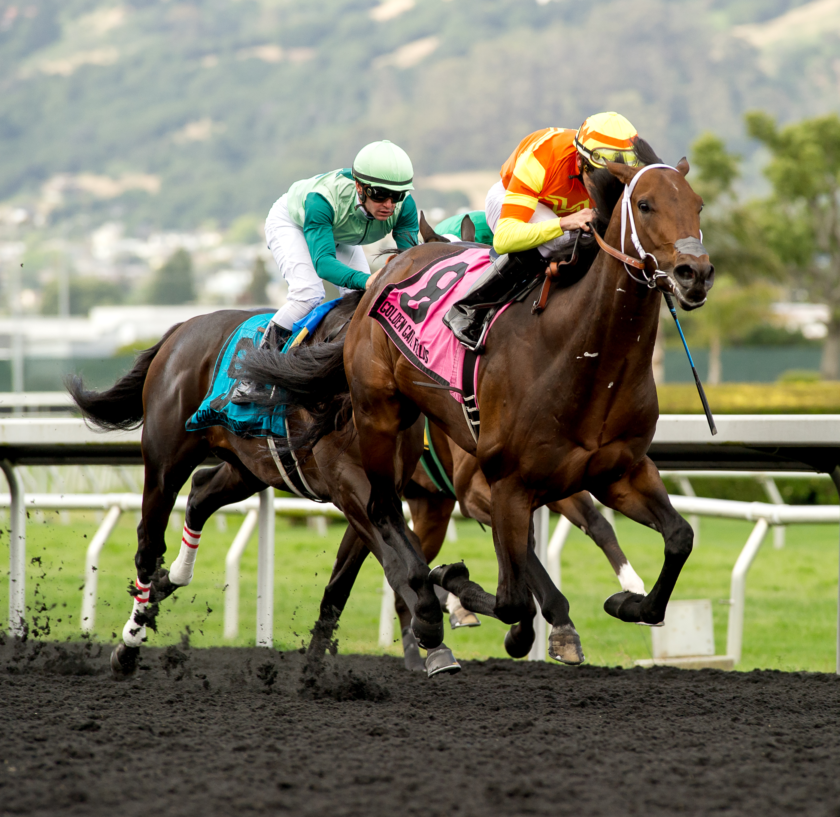 Visitant wins the 2019 Alcatraz Stakes