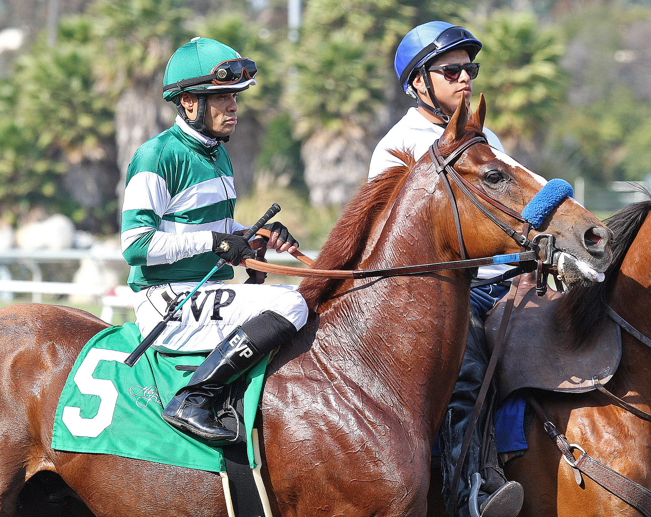 Vagabond Shoes, Mervyn LeRoy Handicap