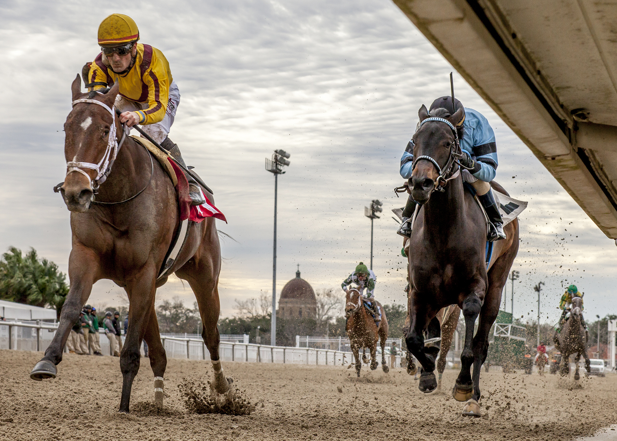 Valadorna wins a Jan. 27 allowance race