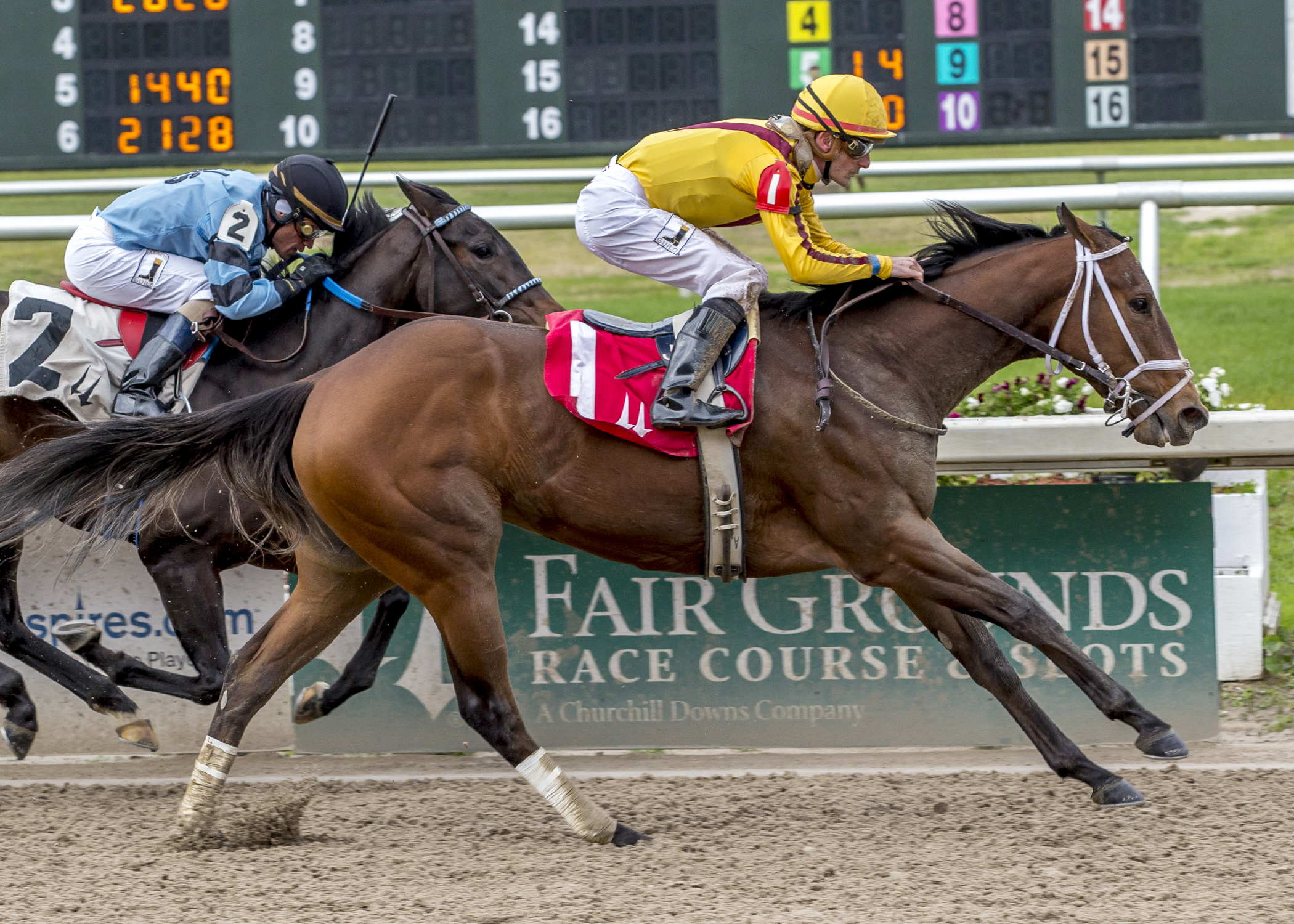 Valadorna wins a Jan. 27, 2017 allowance race