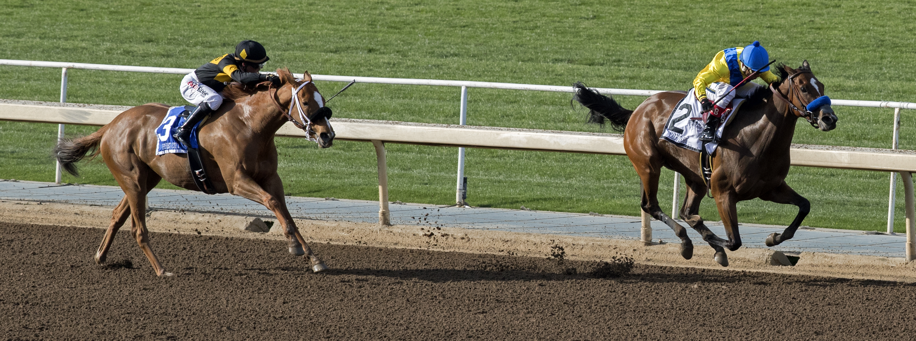 Vale Dori wins the Santa Margarita