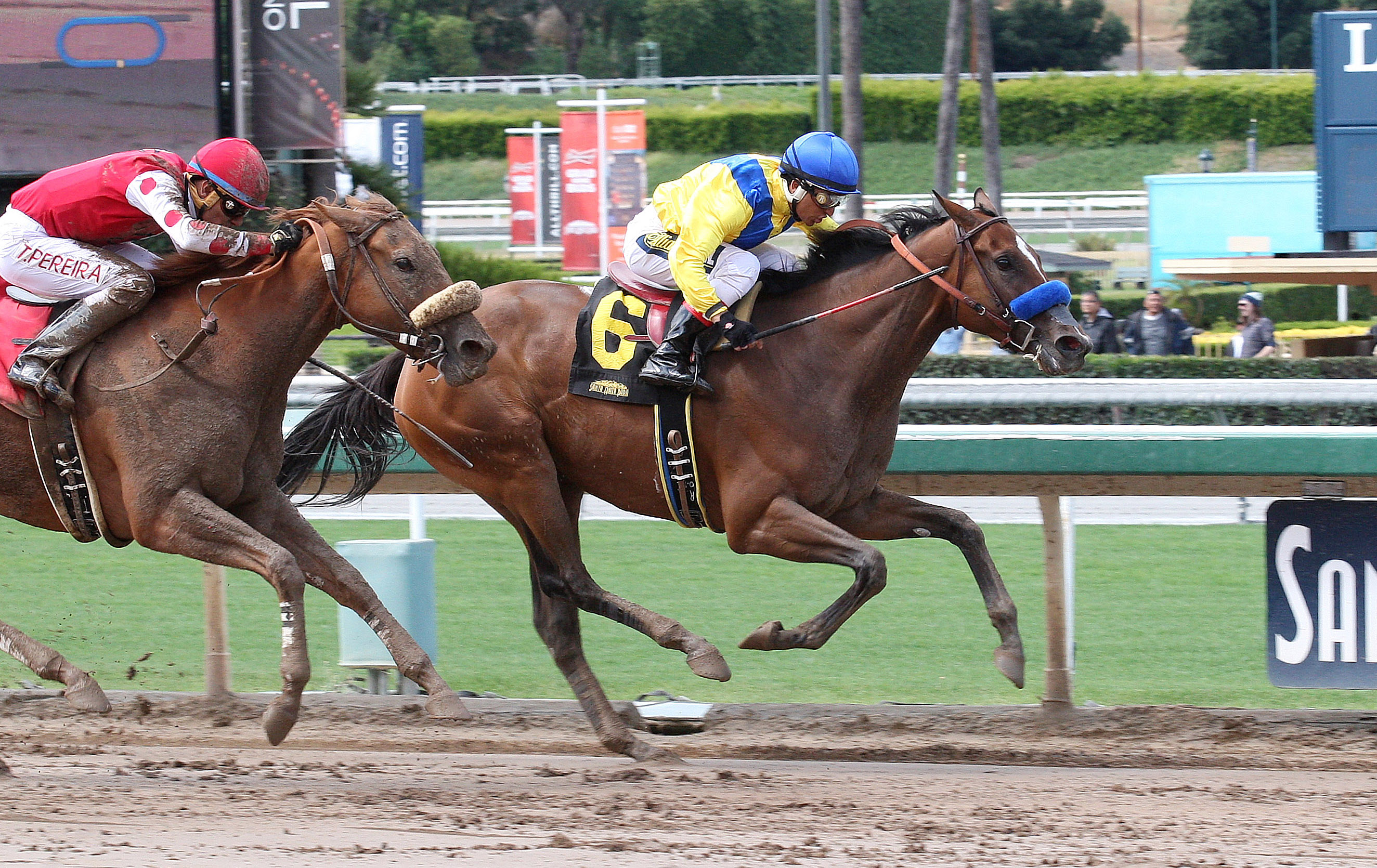 Vale Dori wins the Adoration Stakes