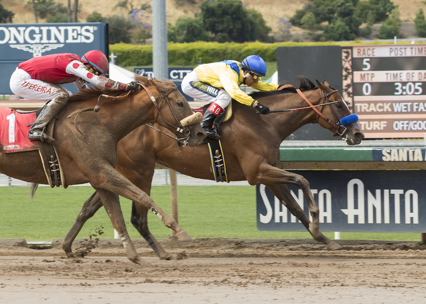 Skye Diamonds finishes second in the 2017 Adoration Stakes