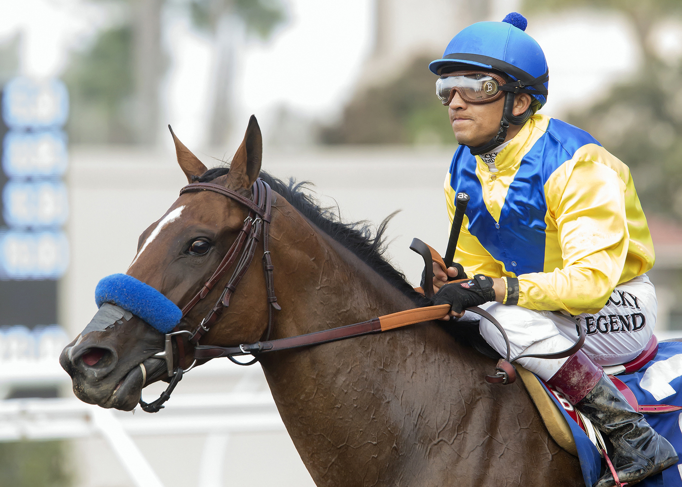 Vale Dori at the Tranquility Lake Stakes