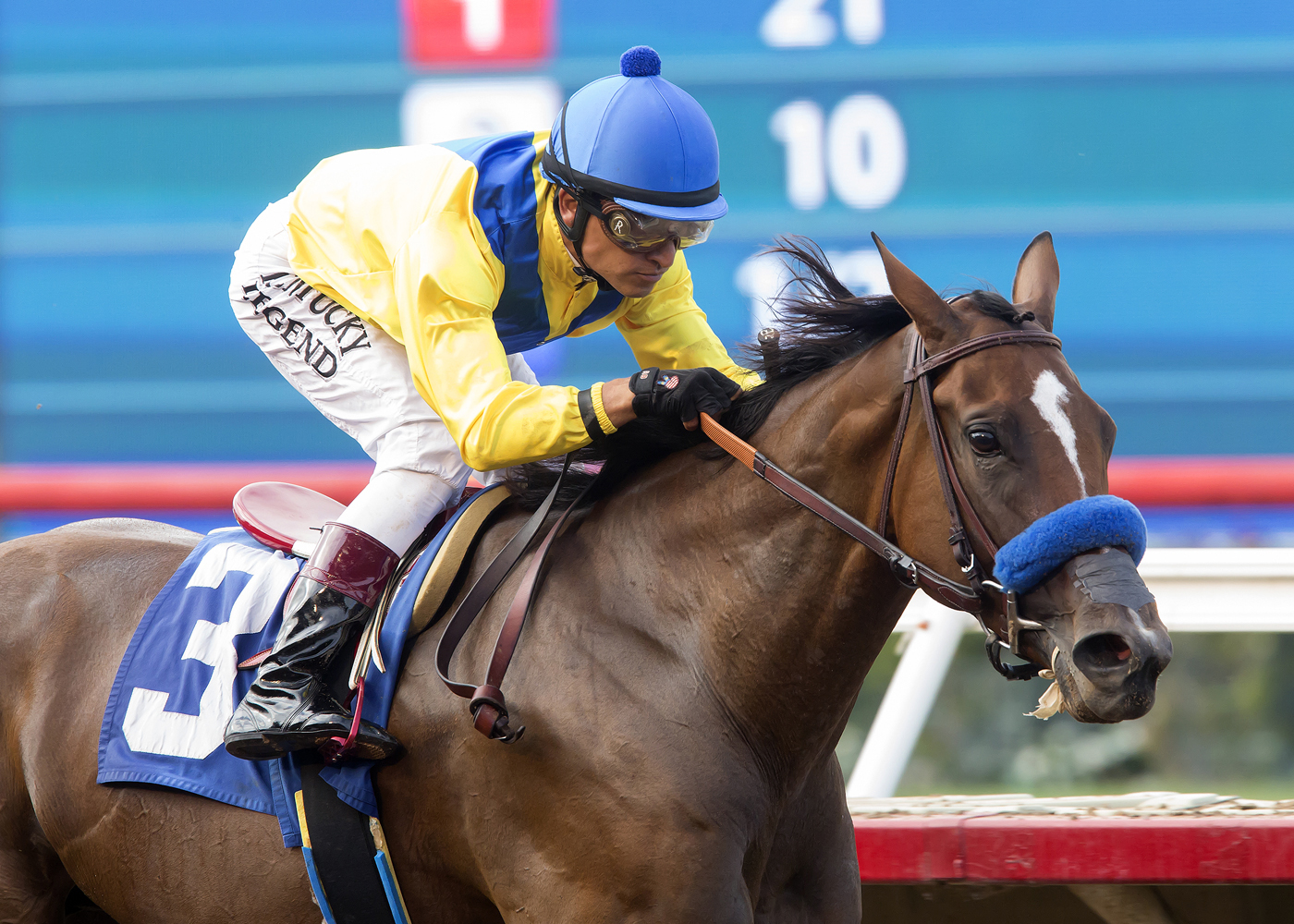 Vale Dori wins the Tranquility Lake Stakes