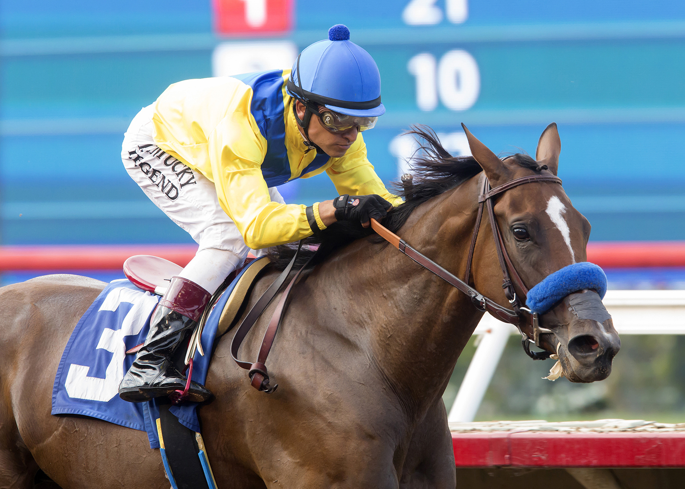 Vale Dori wins the Tranquility Lake Stakes