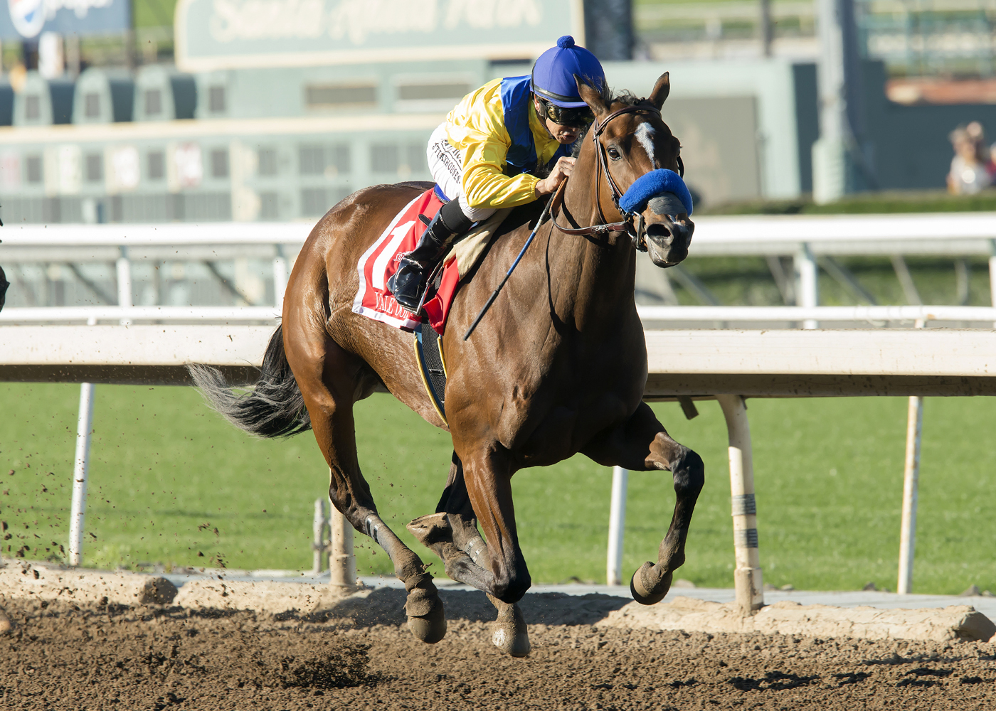 Vale Dori wins the La Canada