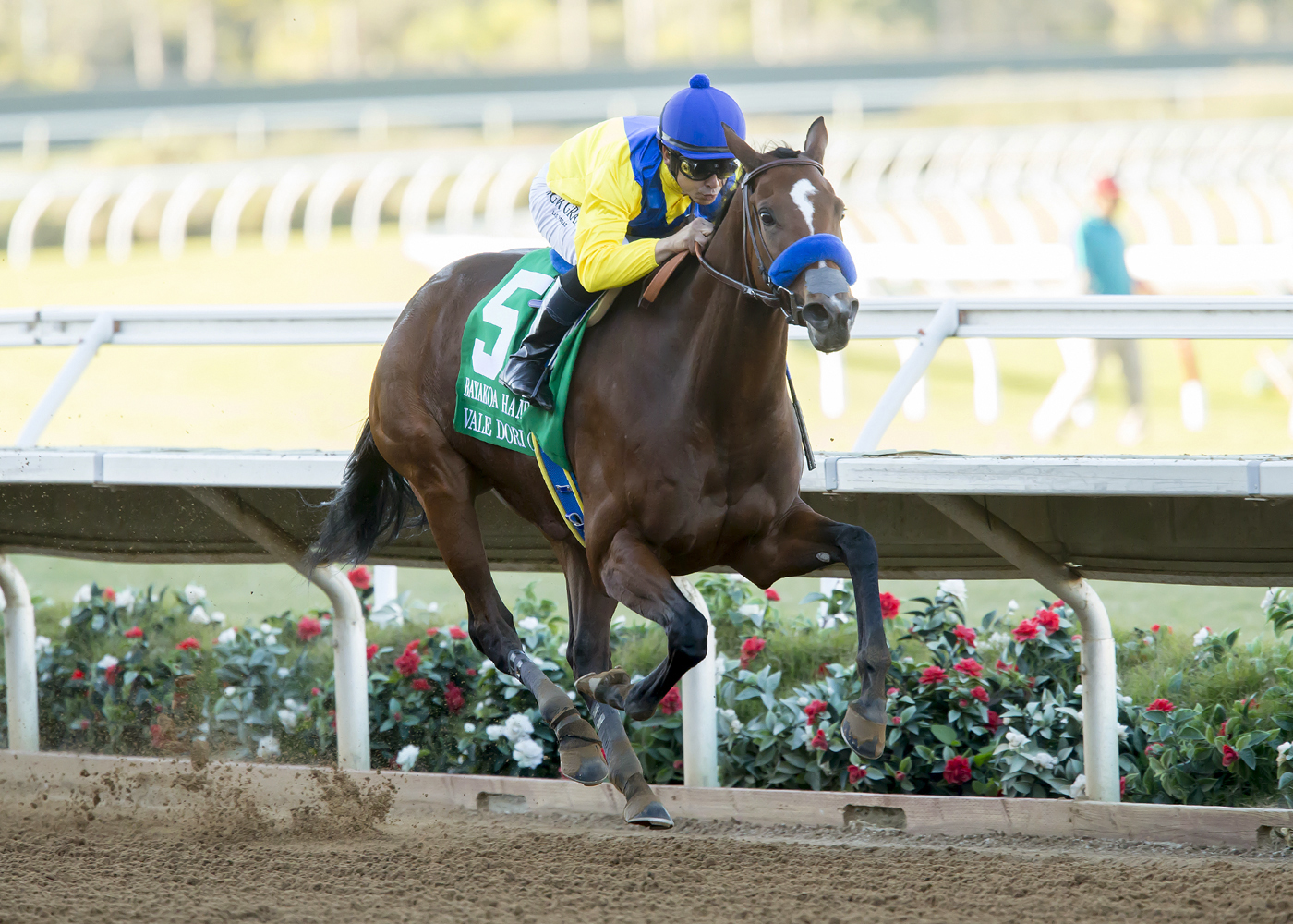 Vale Dori wins the Bayakoa Stakes