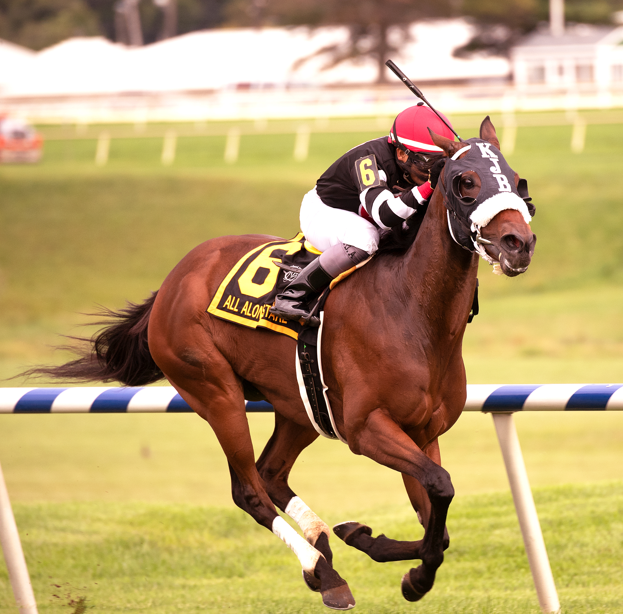 Valedictorian wins 2018 All Along Stakes