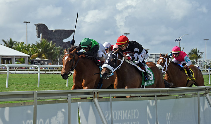 Racing at Gulfstream Park