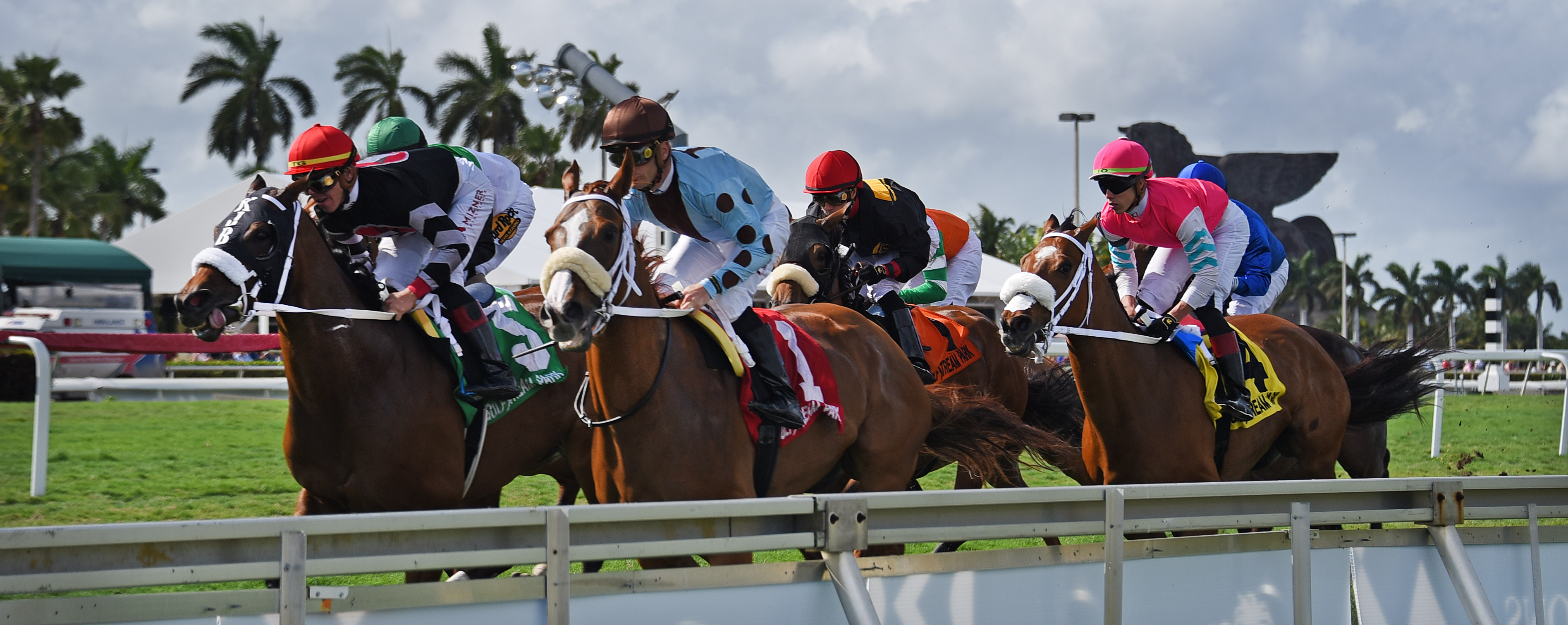 Racing at Gulfstream Park