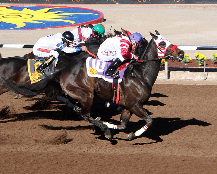 Valiant Tiberias wins the 2019 Championship at Sunland Park Stakes