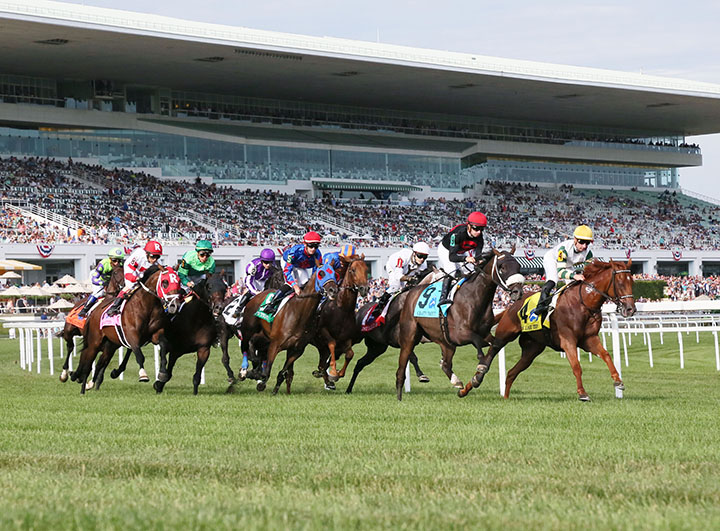Turf racing at Arlington Park