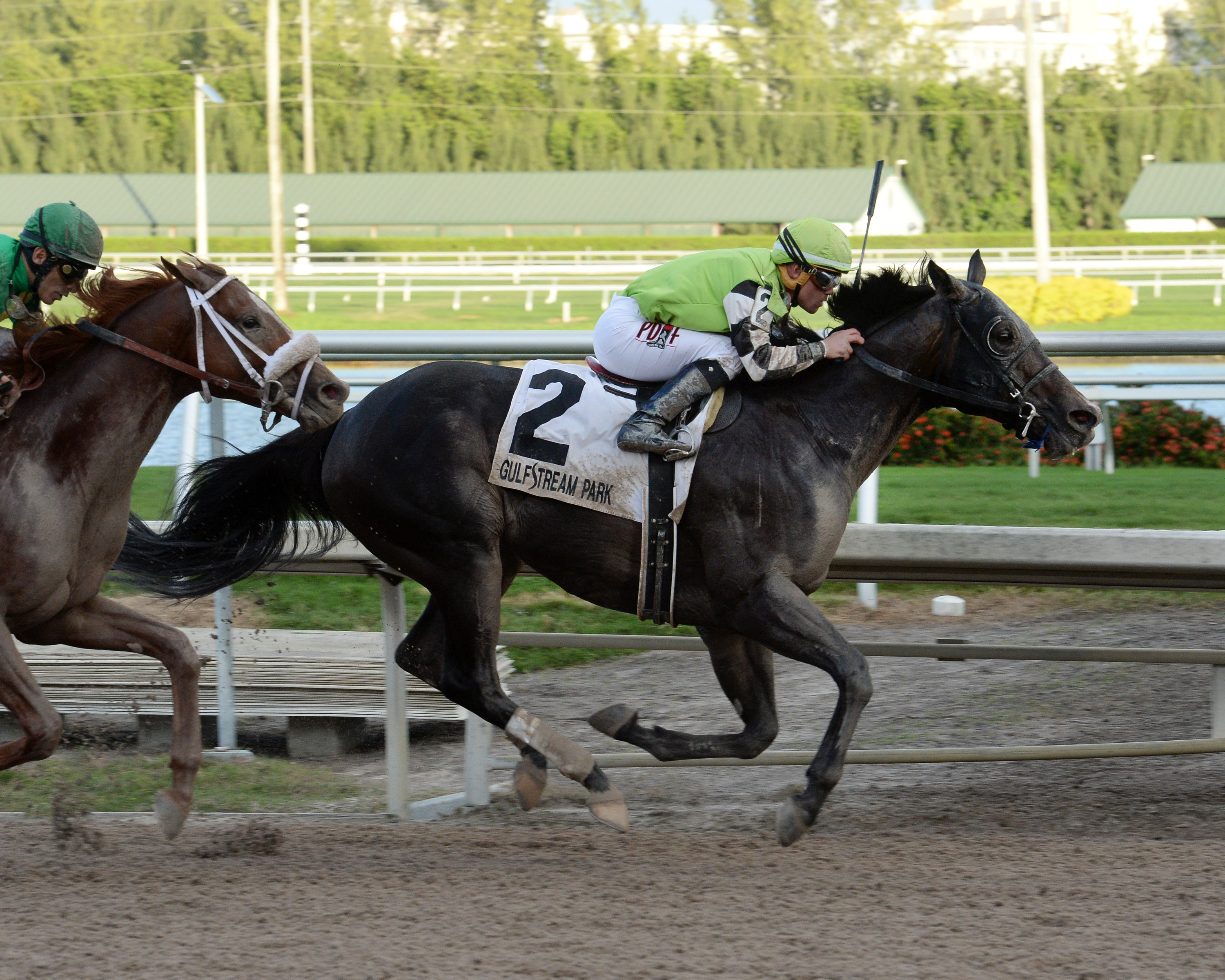 Valid wins 2015 Harlan's Holiday