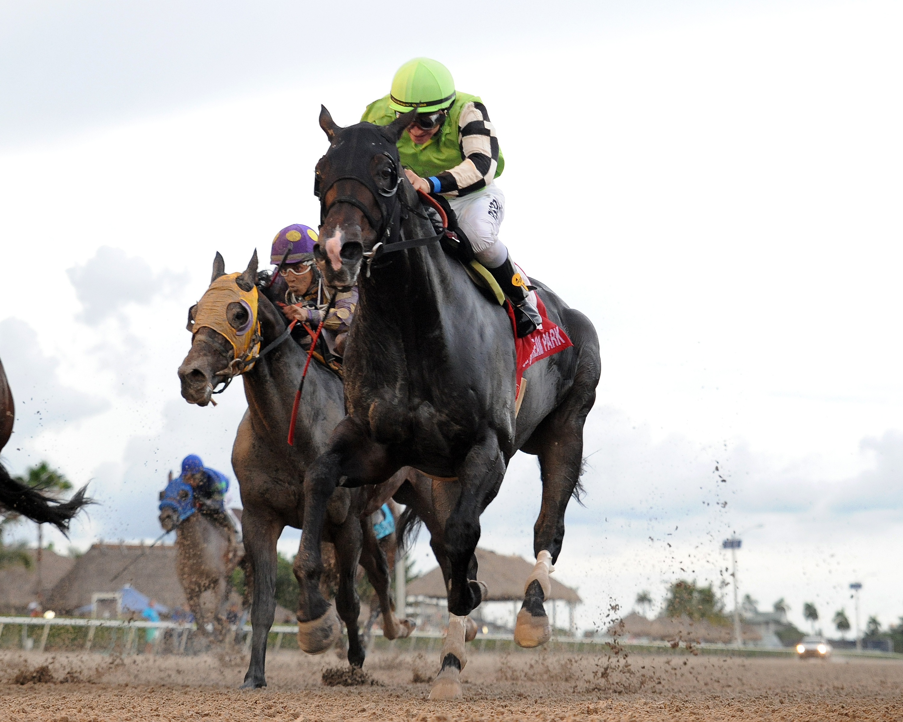 Valid wins 2015 Groomstick