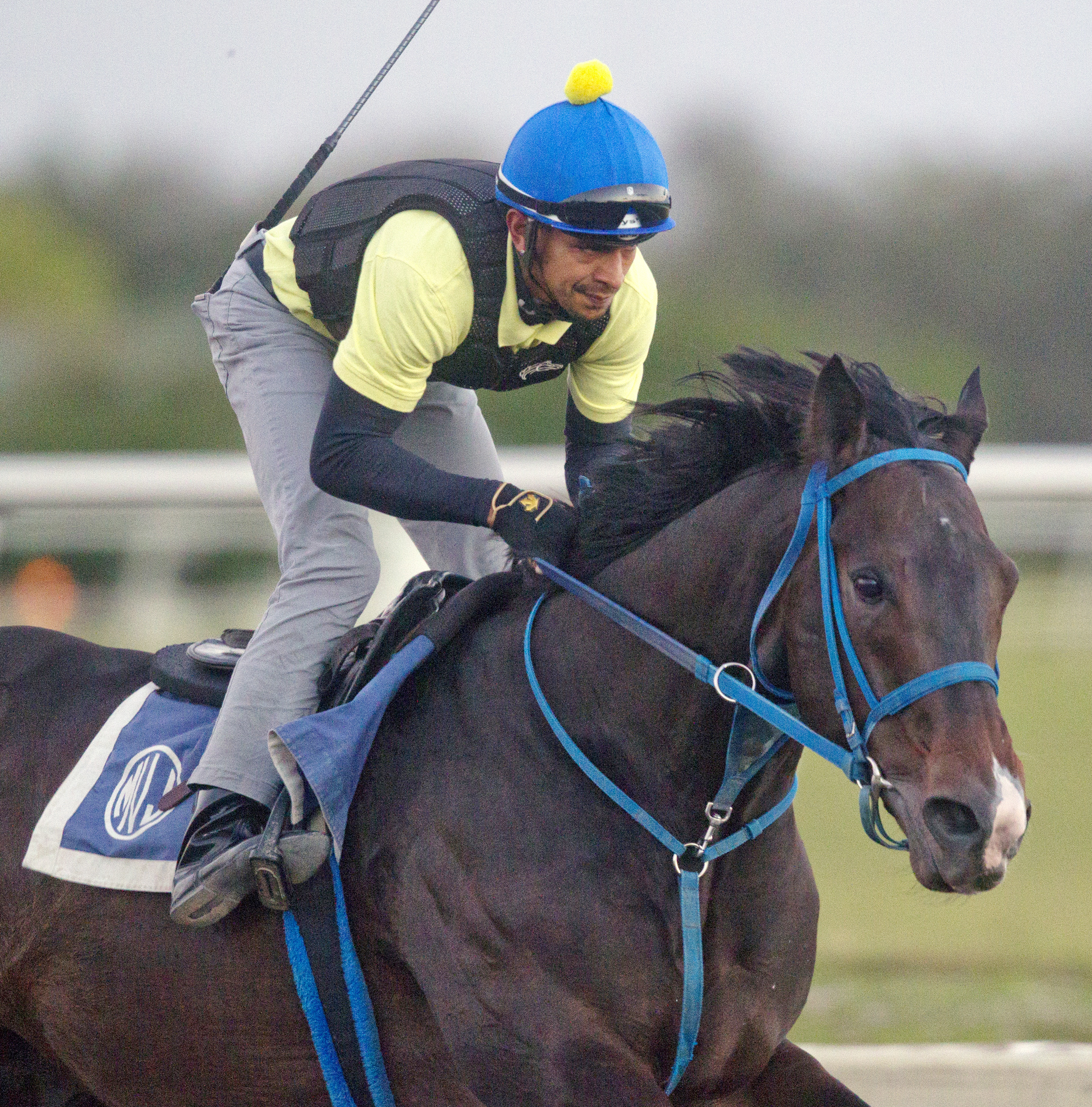 Valid trains at Palm Meadows on Feb. 19