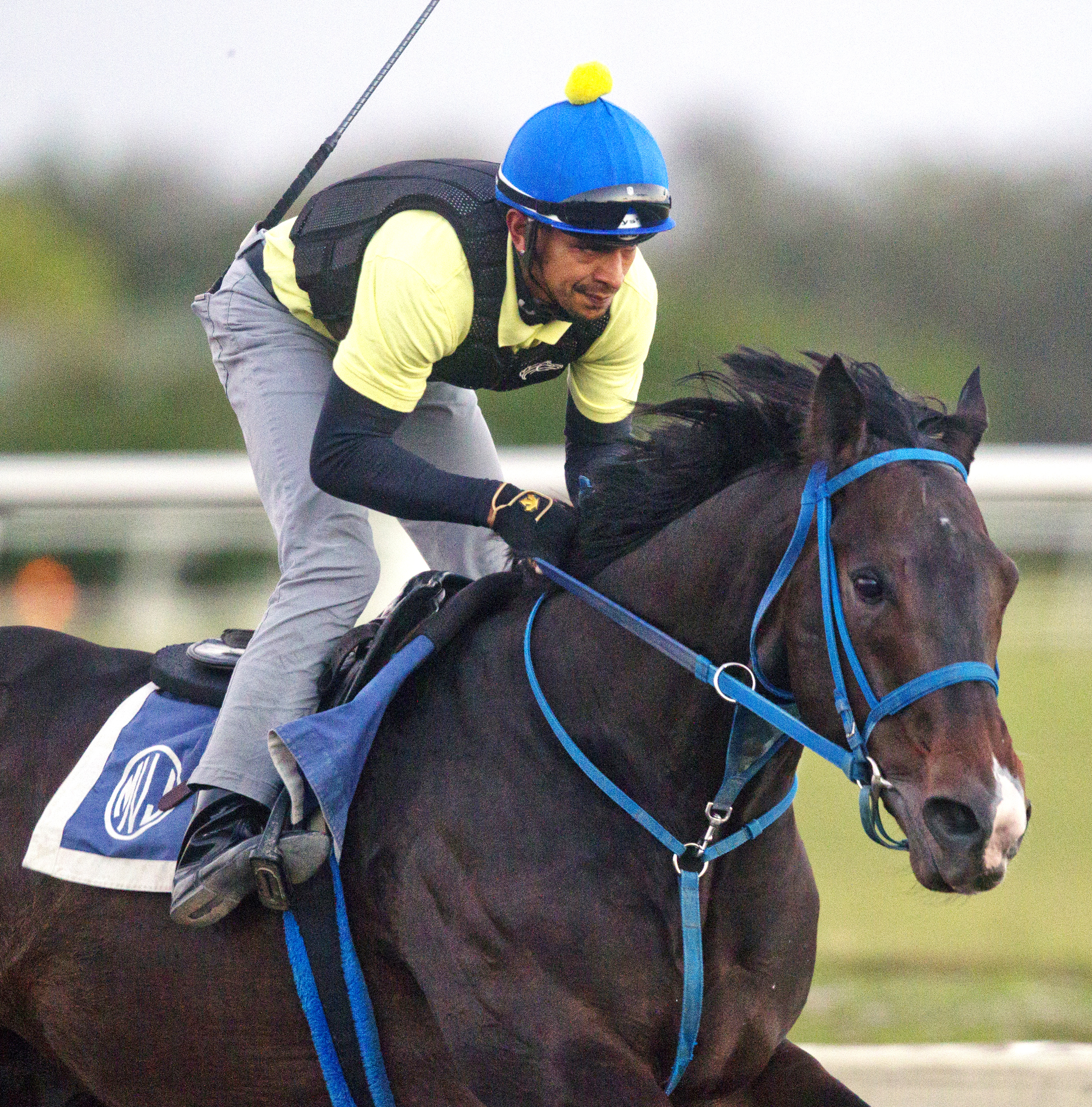 Valid trains at Palm Meadows on Feb. 19