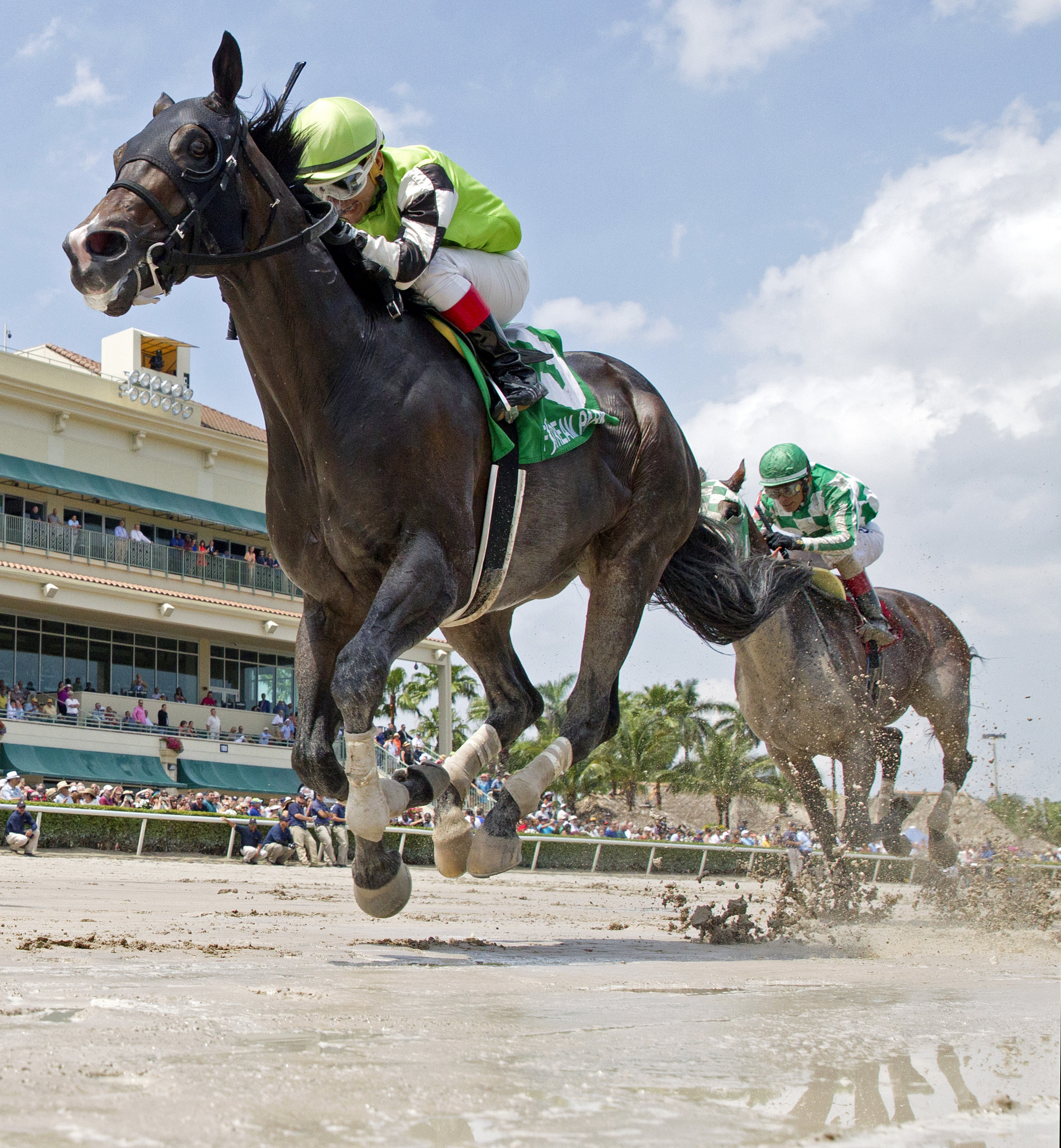 Valid wins the Skip Away