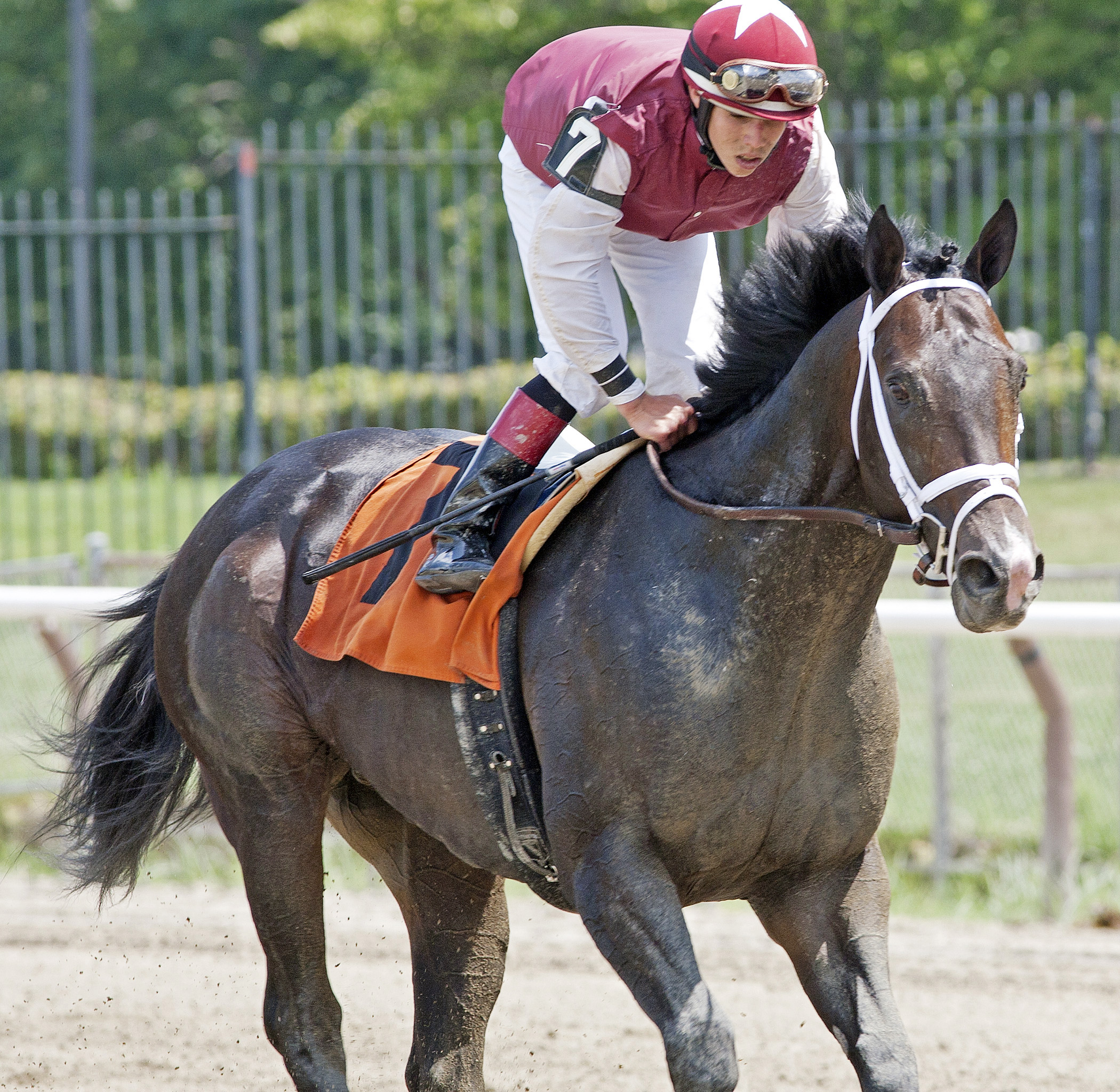 Valid at Saratoga in 2013