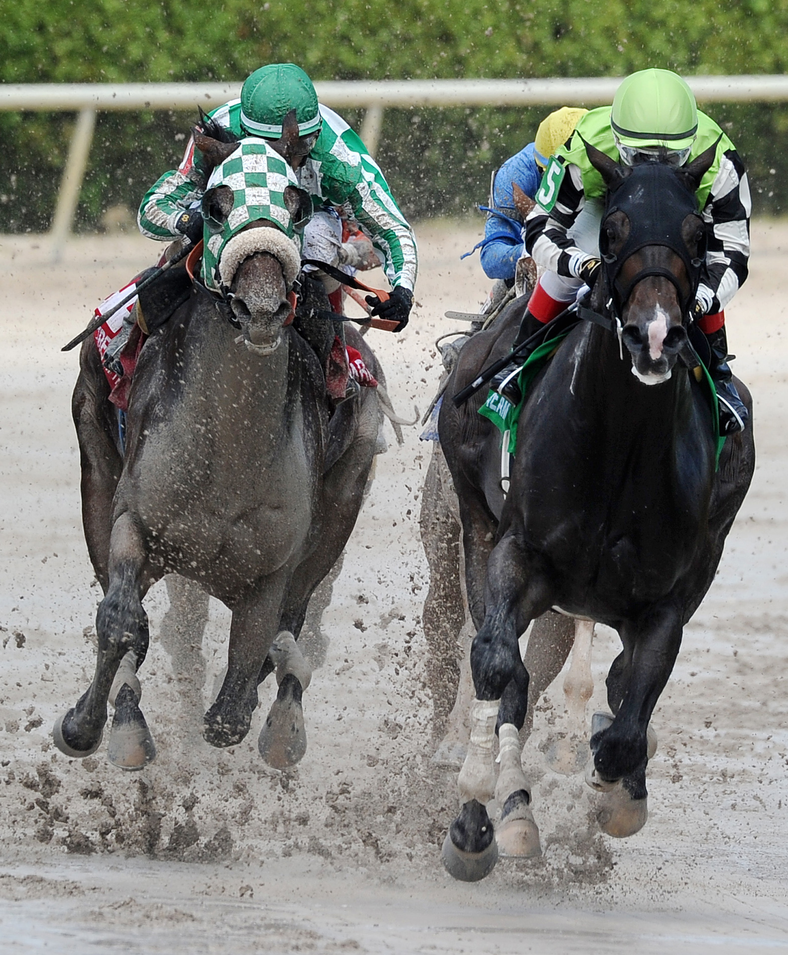 Team Colors finishes second to Valid in the 2016 Skip Away