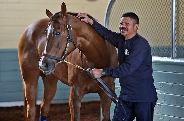 Vallestina at Santa Anita Park on Feb. 1