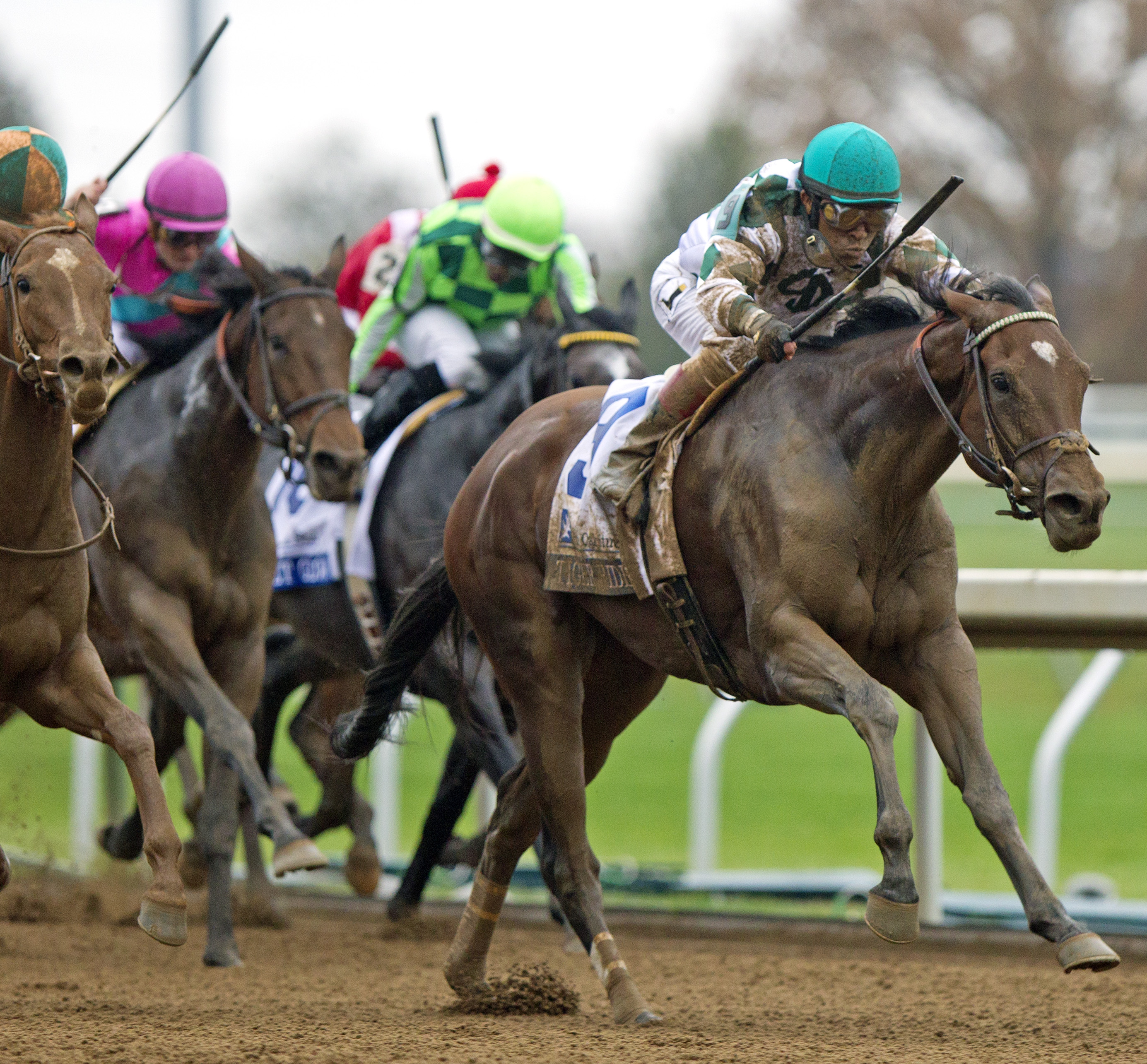 Tiger Ride wins 2015 Valley View
