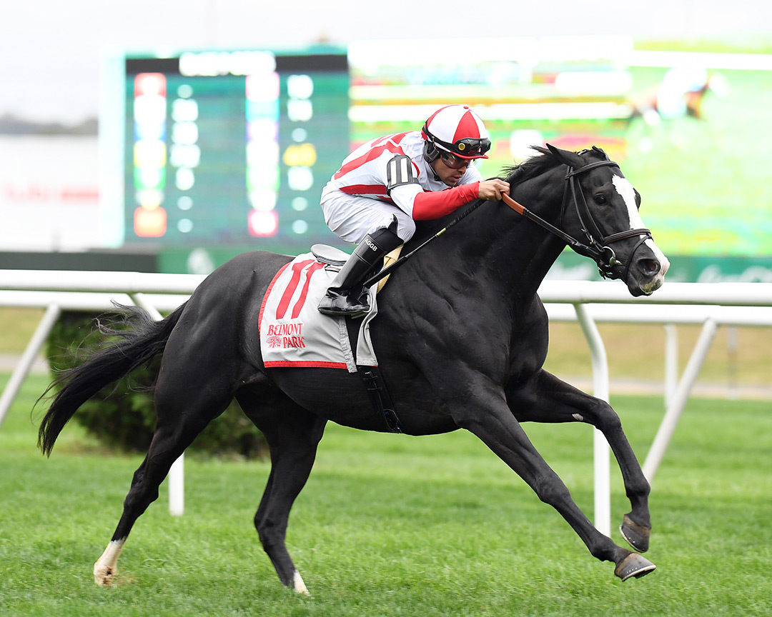Value Proposition wins the 2021 Oyster Bay Stakes at Belmont Park
