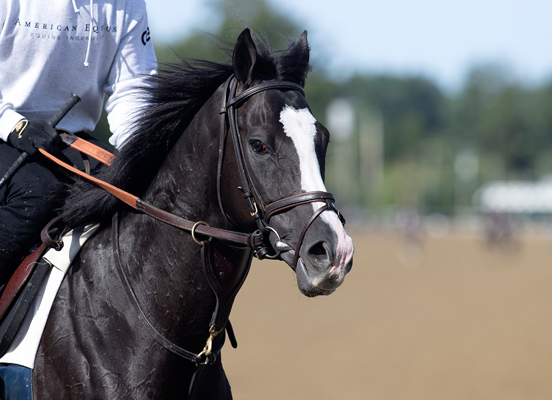 Value Proposition at Saratoga Race Course on July 31