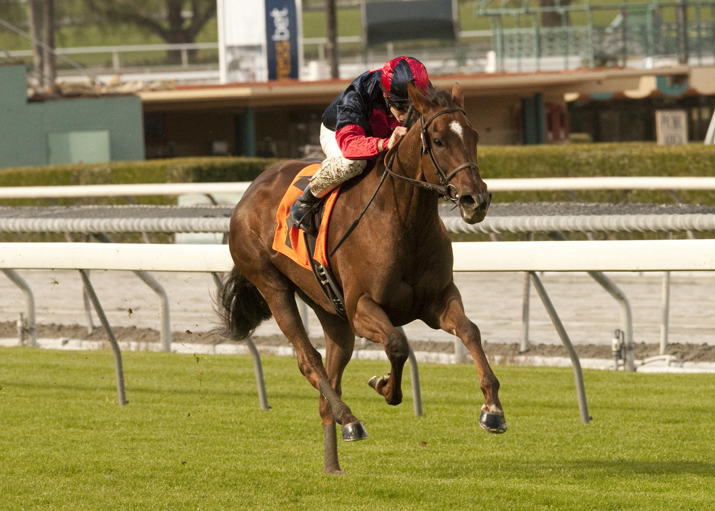 Vamo a Galupiar/Megahertz