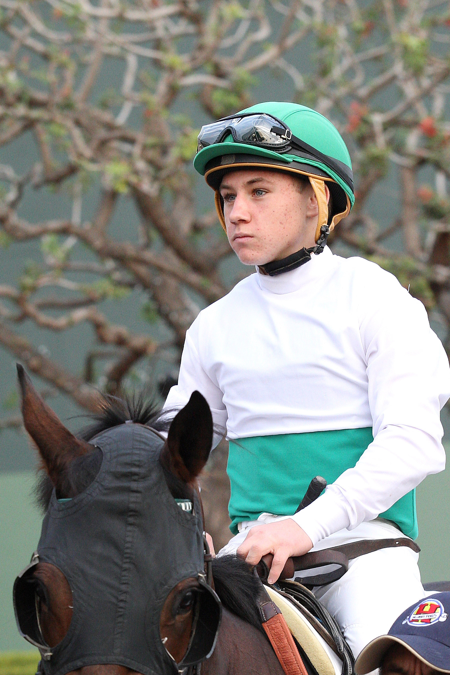 Drayden Van Dyke