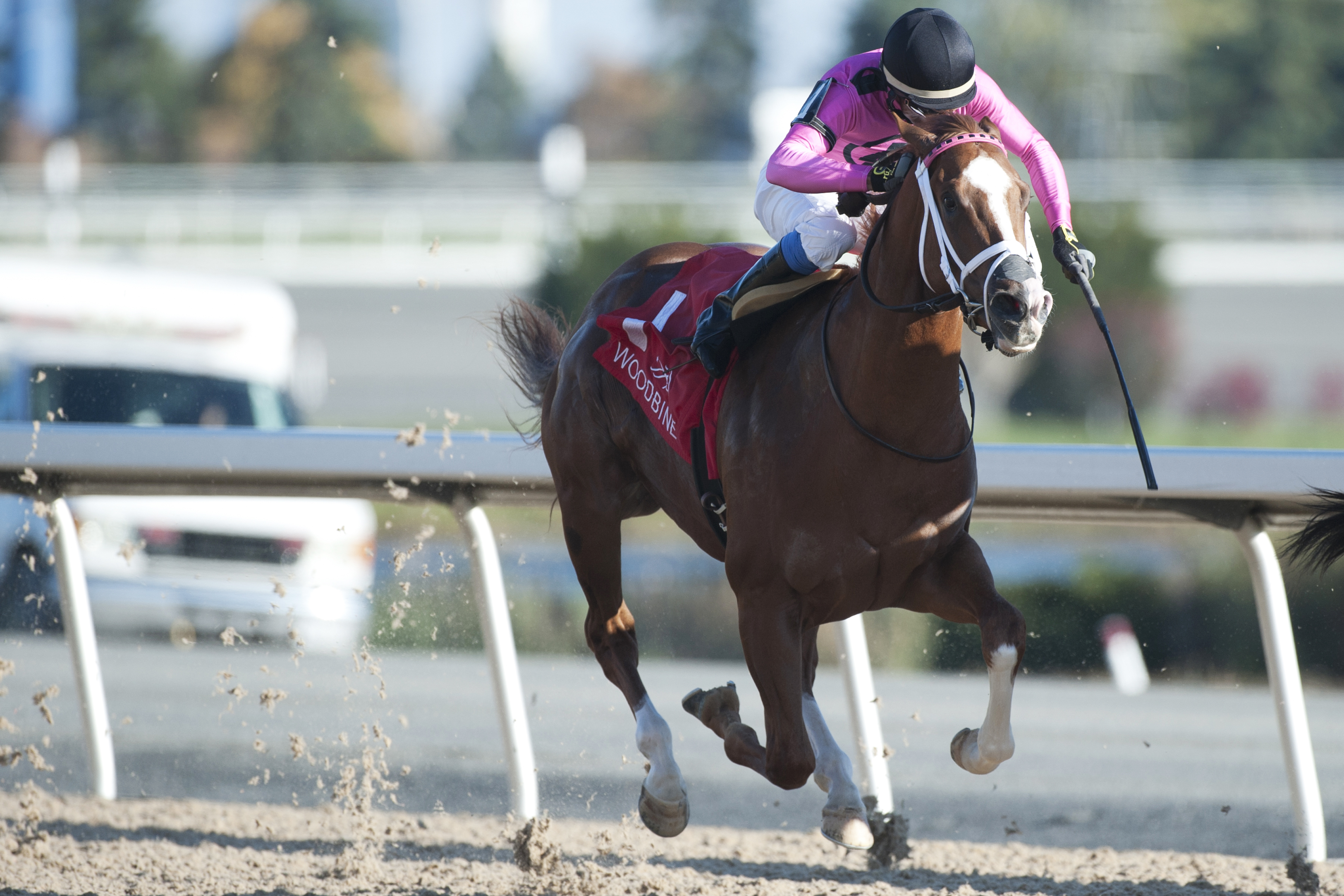 Vanish wins the Claredon Stakes