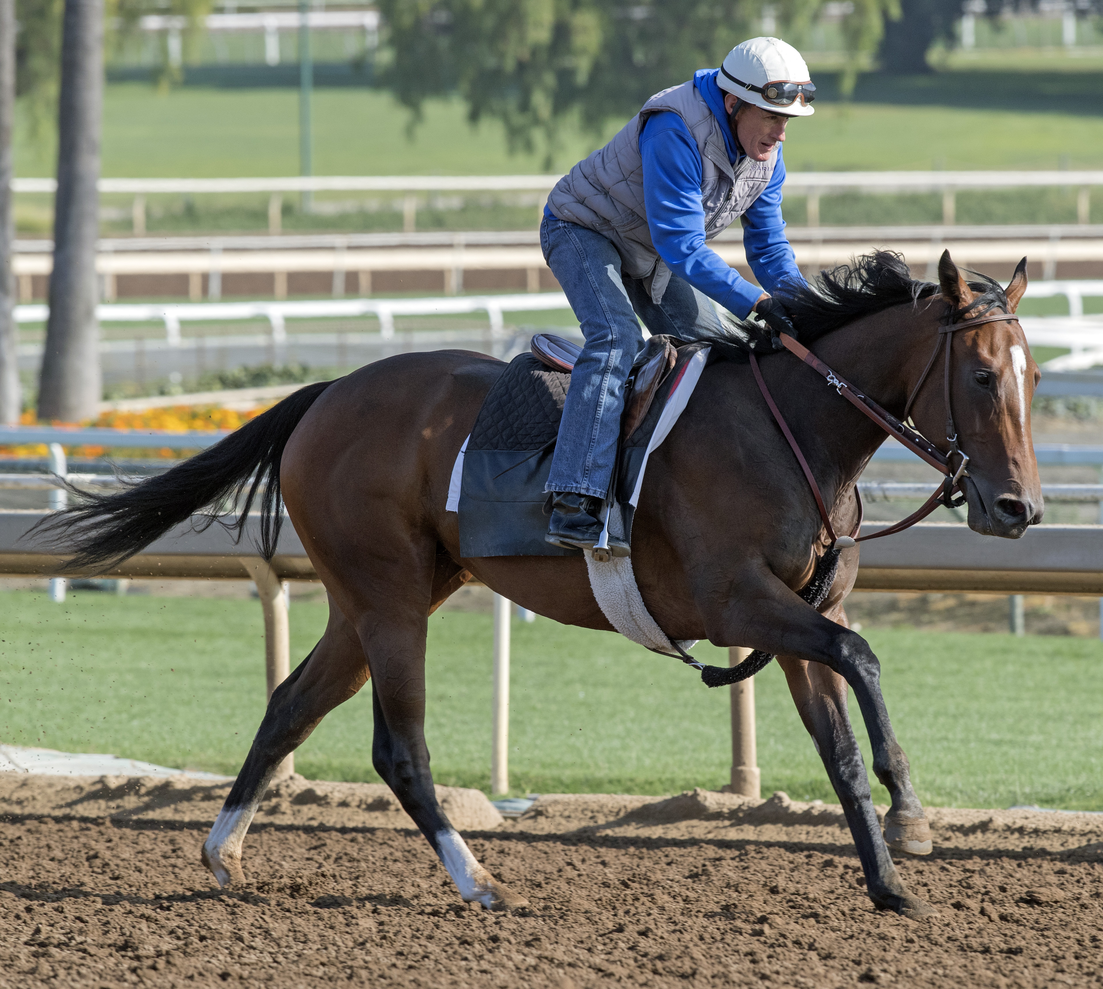 Varanasi trains at Santa Anita on July 3
