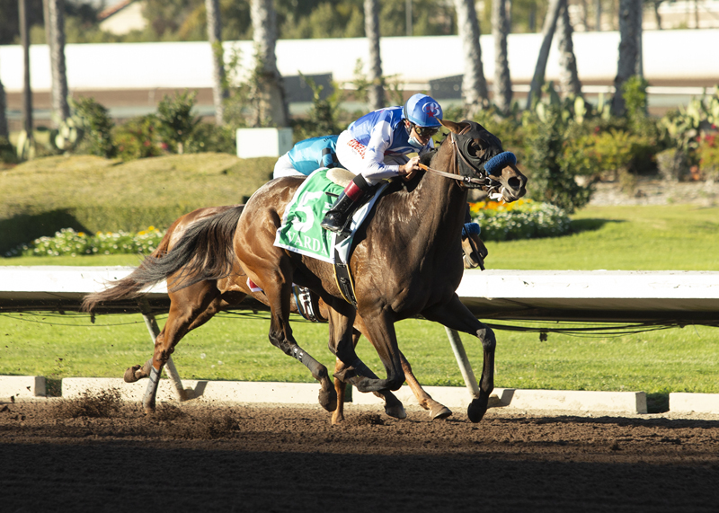 Varda wins the Starlet 12-5-2020