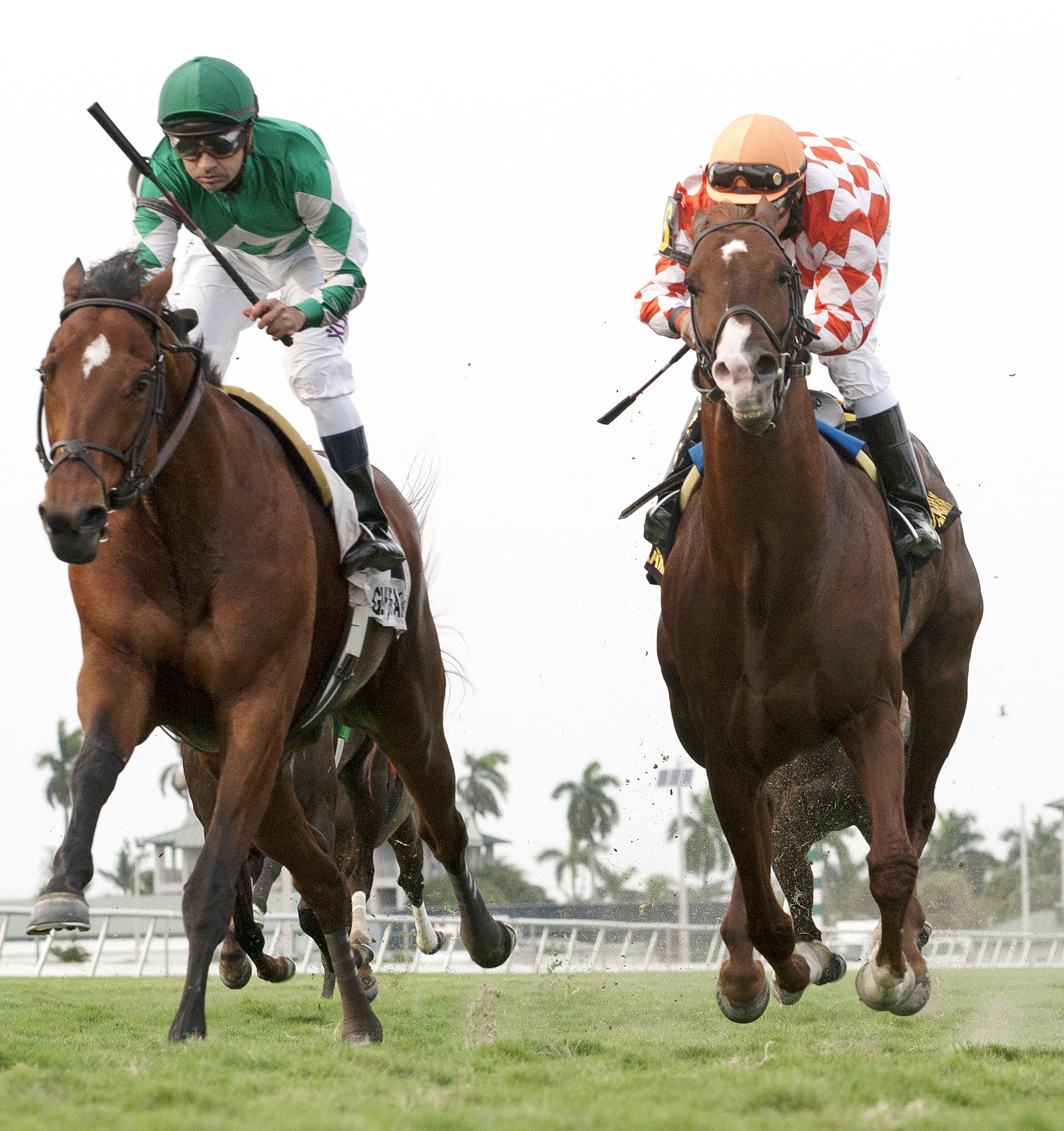 Varsity finishes second in the Silks Run Stakes
