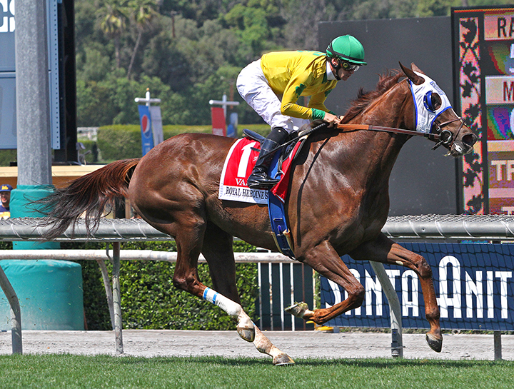 Vasilika wins the 2019 Royal Heroine