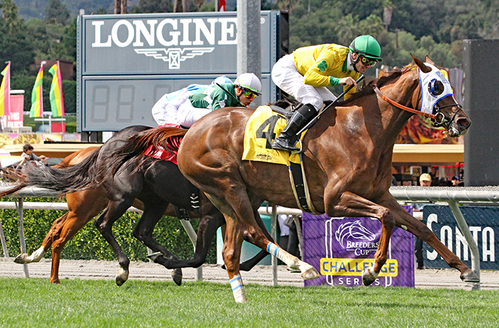 Vasilika wins the 2019 Gamely Stakes