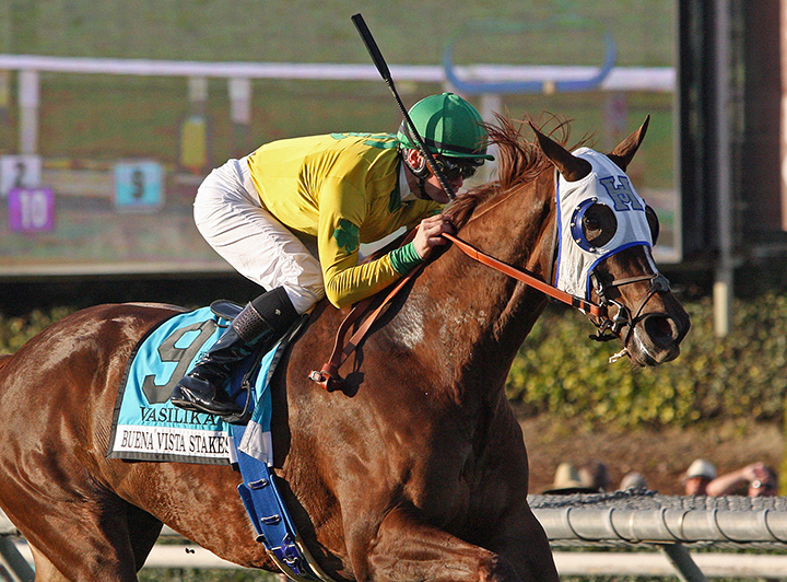 Vasilika wins the 2019 Buena Vista
