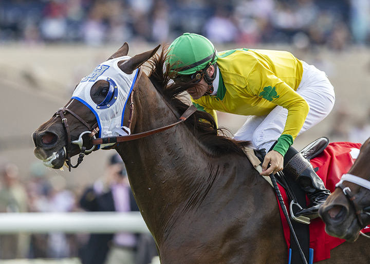 Vasilika wins the 2019 John C. Mabee Stakes at Del Mar