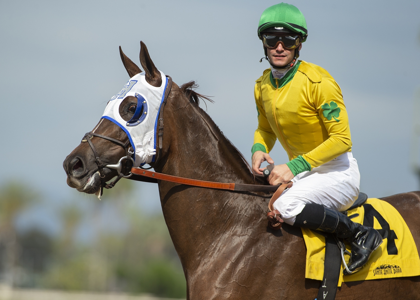 Vasilika portrait post 2019 Gamely Stakes