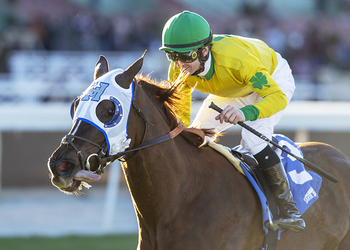 Vasilika wins the 2019 Megahertz Stakes