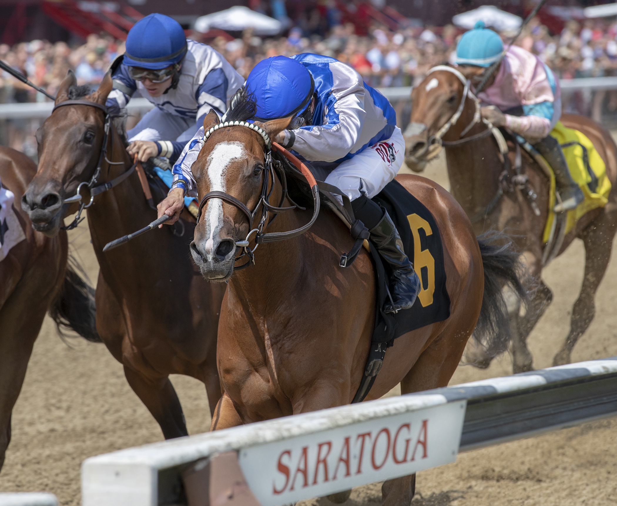Vast wins a July 12 maiden race at Saratoga